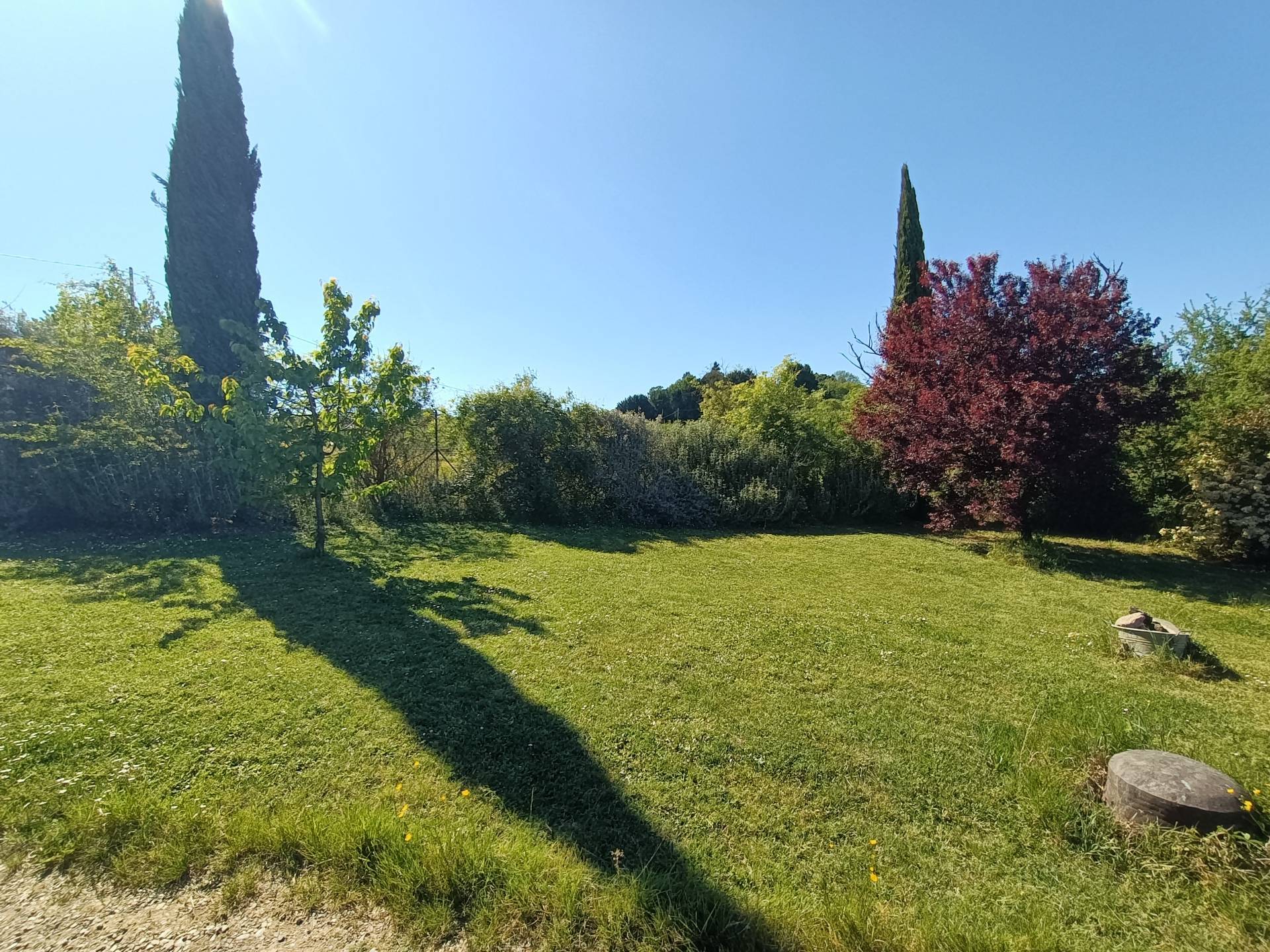 Foto annuncio 1