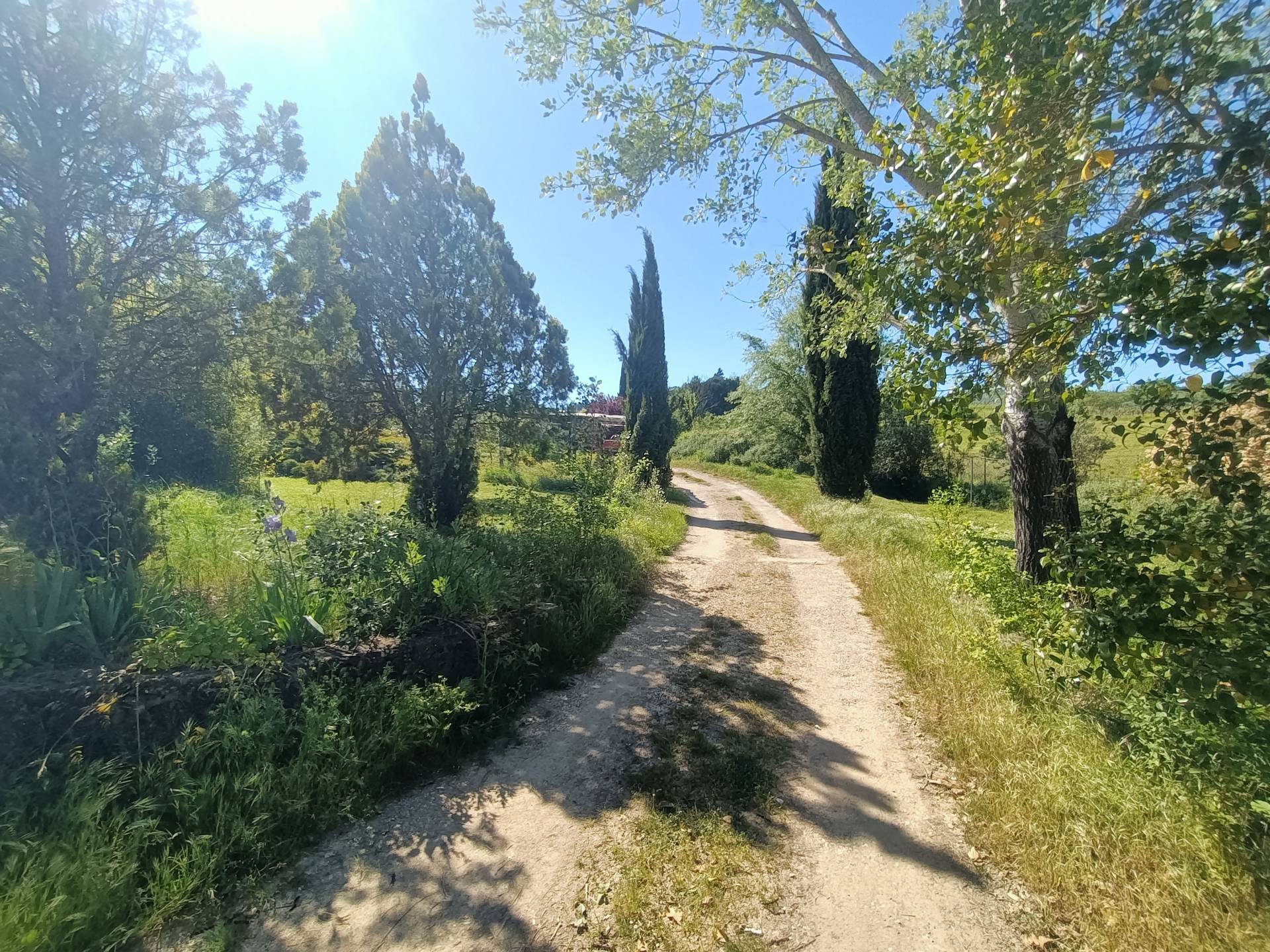 Foto annuncio 2