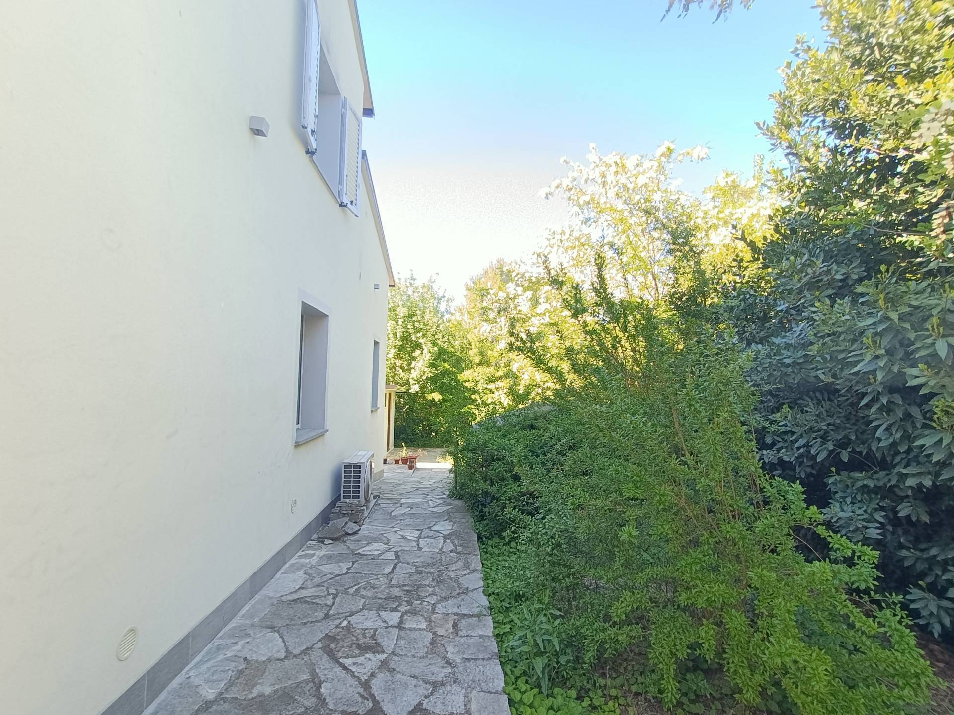 Foto annuncio 33