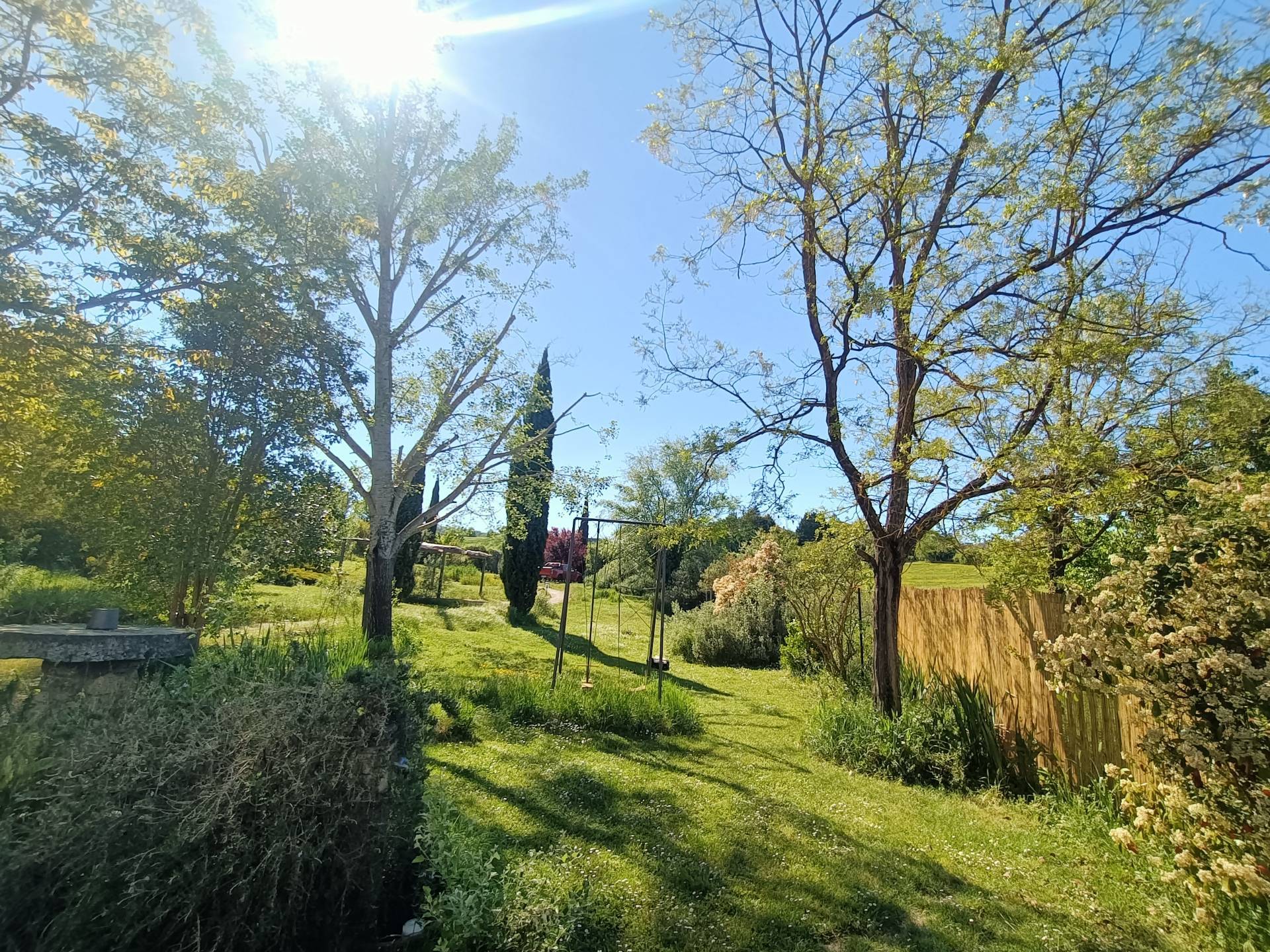 Foto annuncio 36