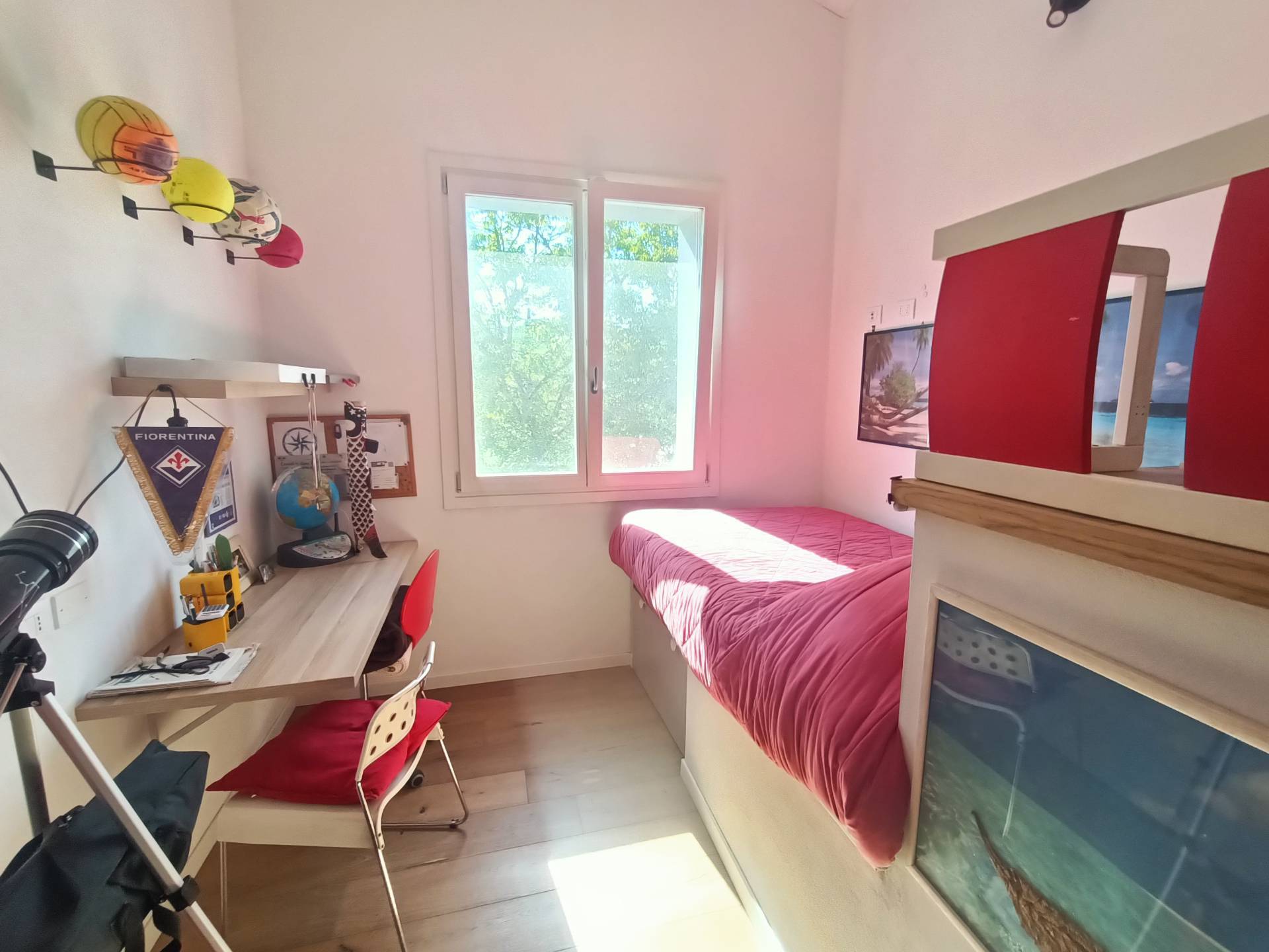 Foto annuncio 19