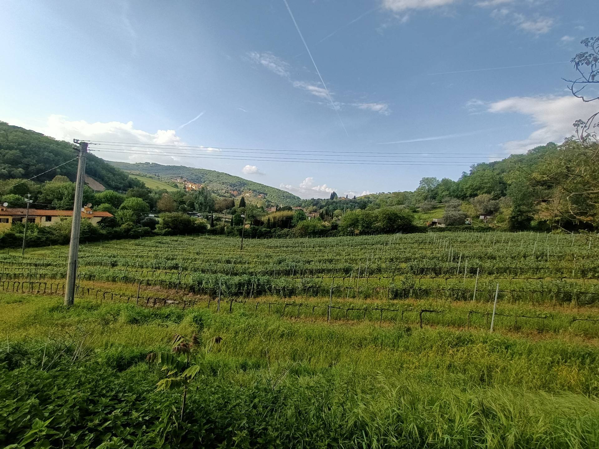 Foto annuncio 8