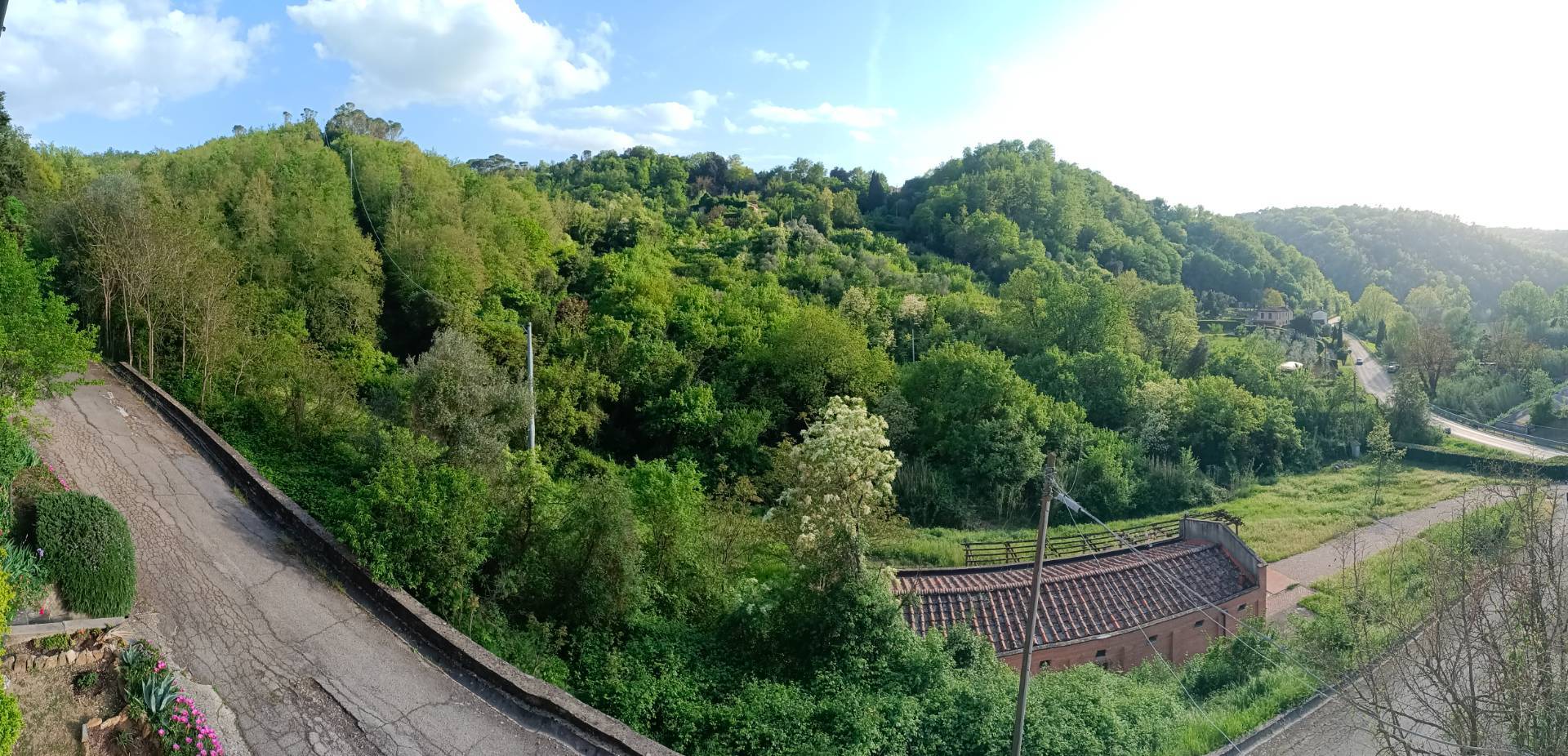 Foto annuncio 26