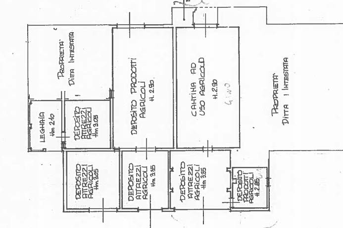 Immagine 70 di Rustico / casale in vendita  in via solferino a Terricciola