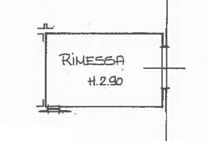 Immagine 71 di Rustico / casale in vendita  in via solferino a Terricciola