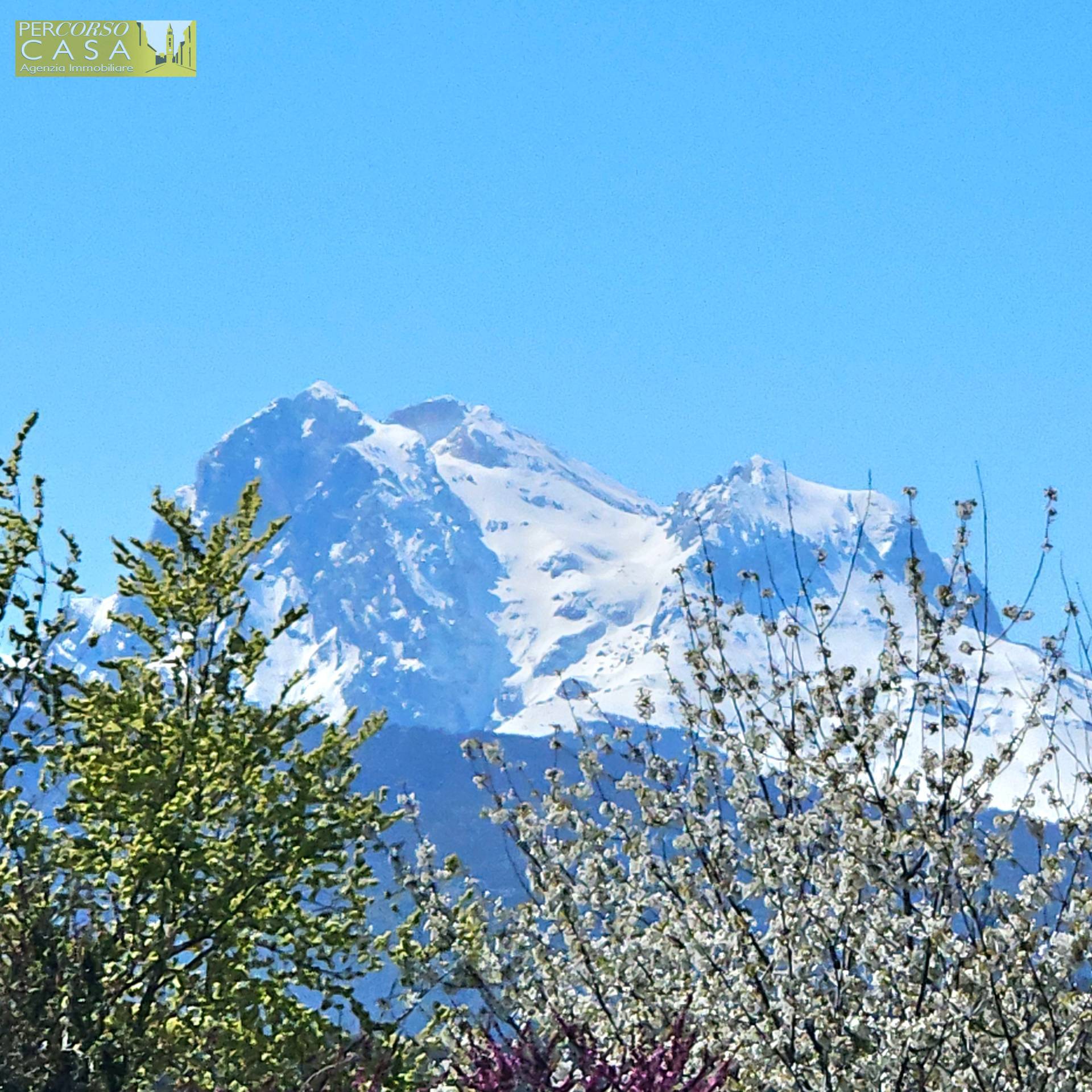 Immagine 6 di Appartamento in vendita  in Piano Grande a Ancarano