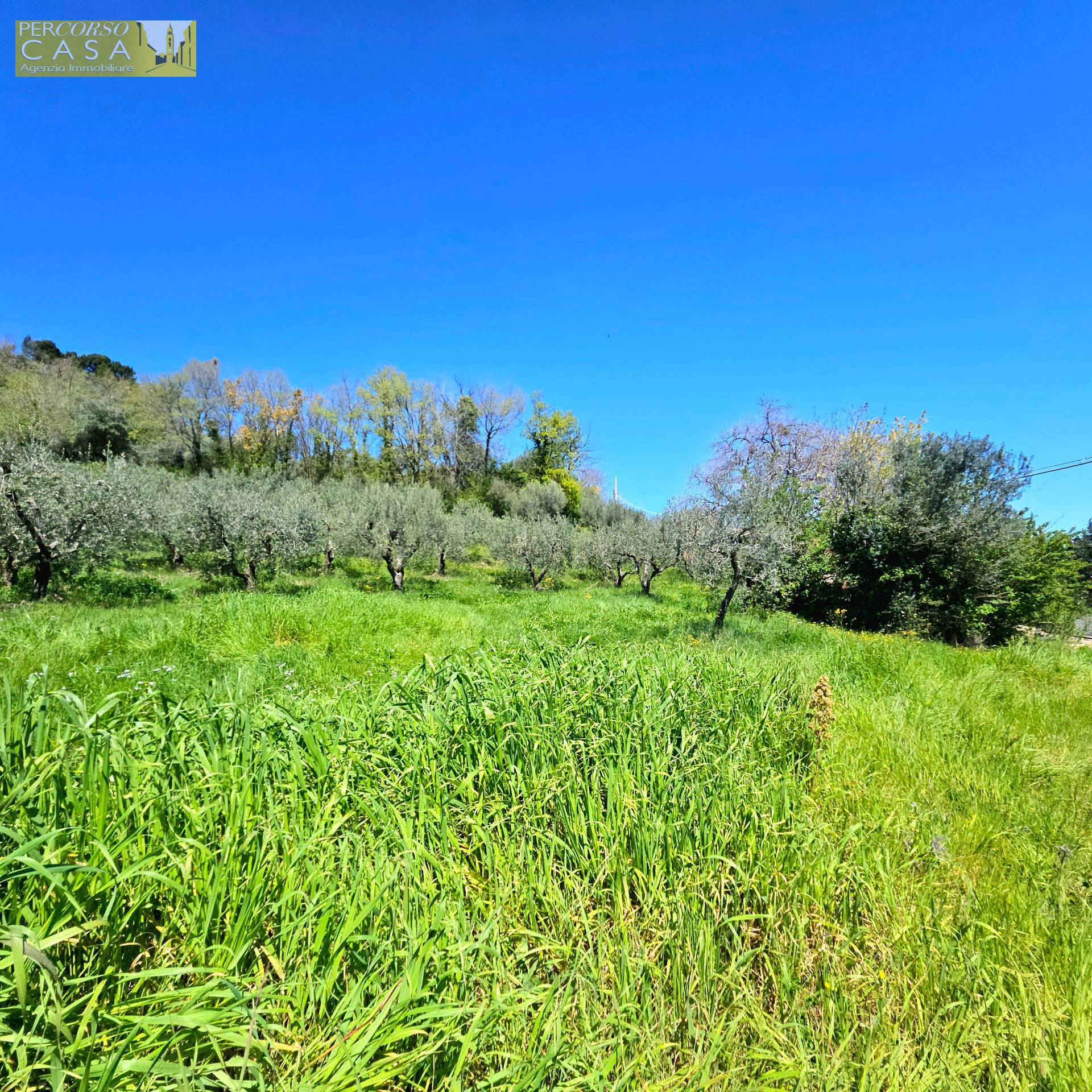 Immagine 19 di Appartamento in vendita  in Piano Grande a Ancarano