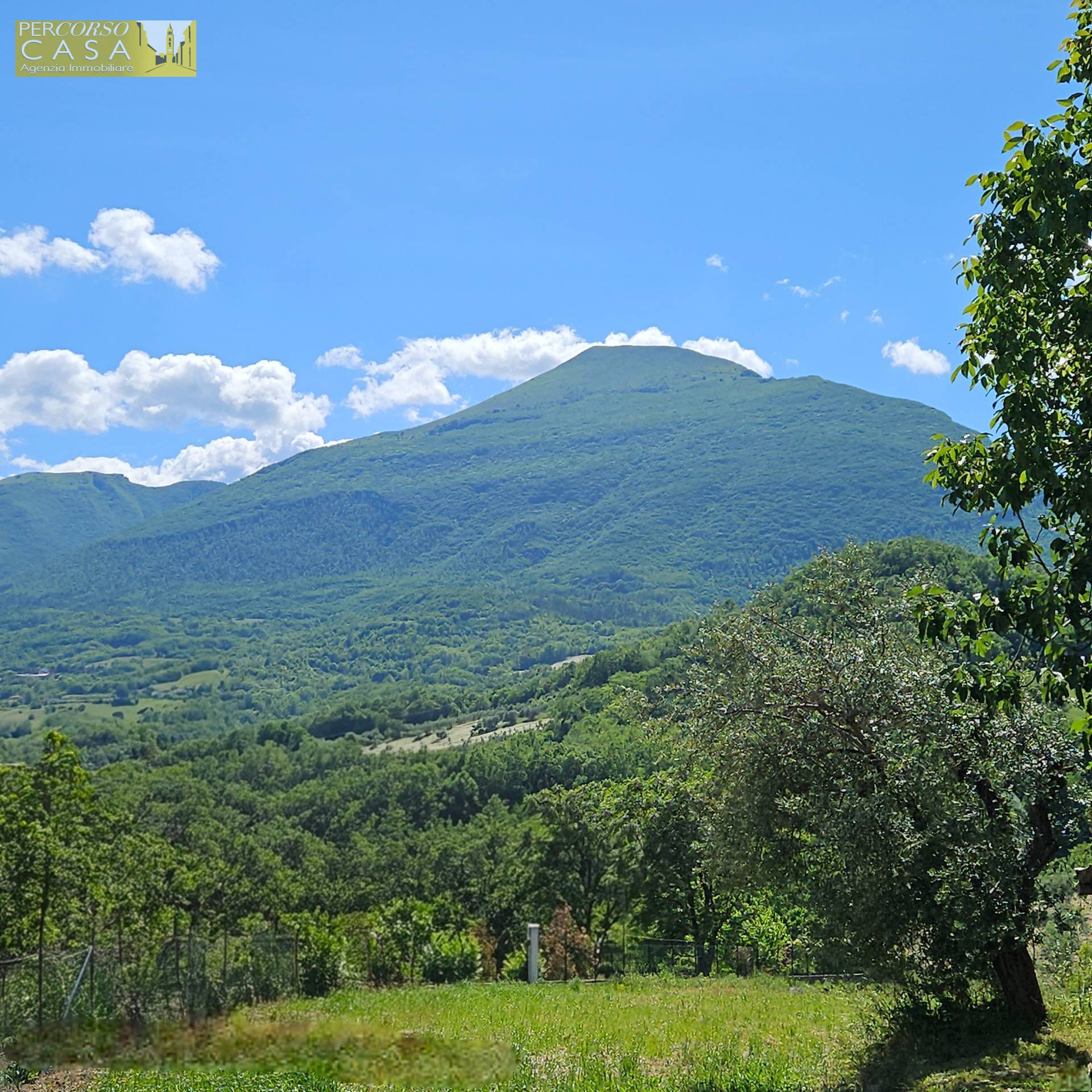 Immagine 12 di Appartamento in vendita  a Ancarano