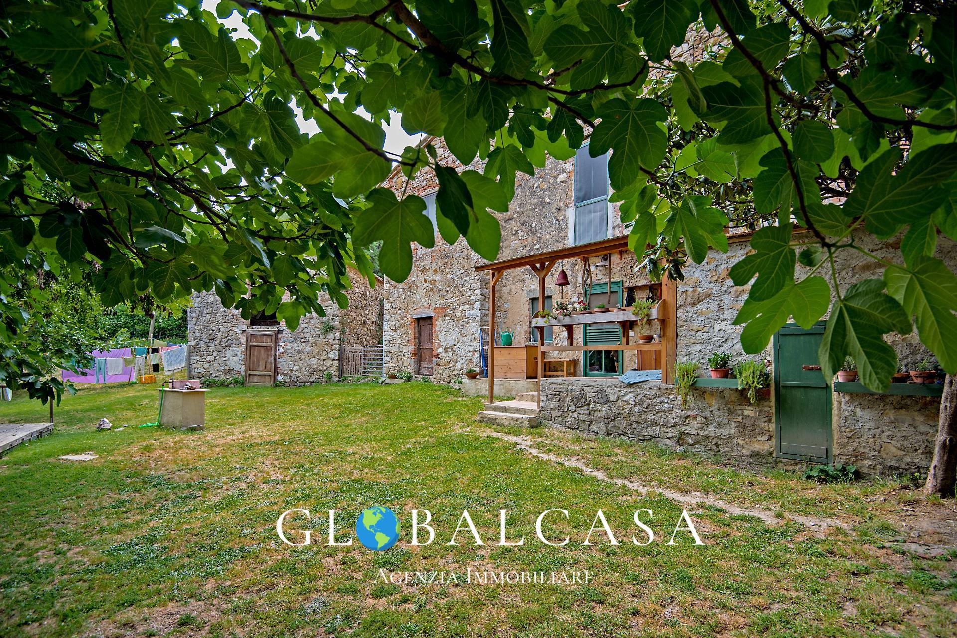 Immagine 2 di Rustico / casale in vendita  in case sparse 17 a Scansano