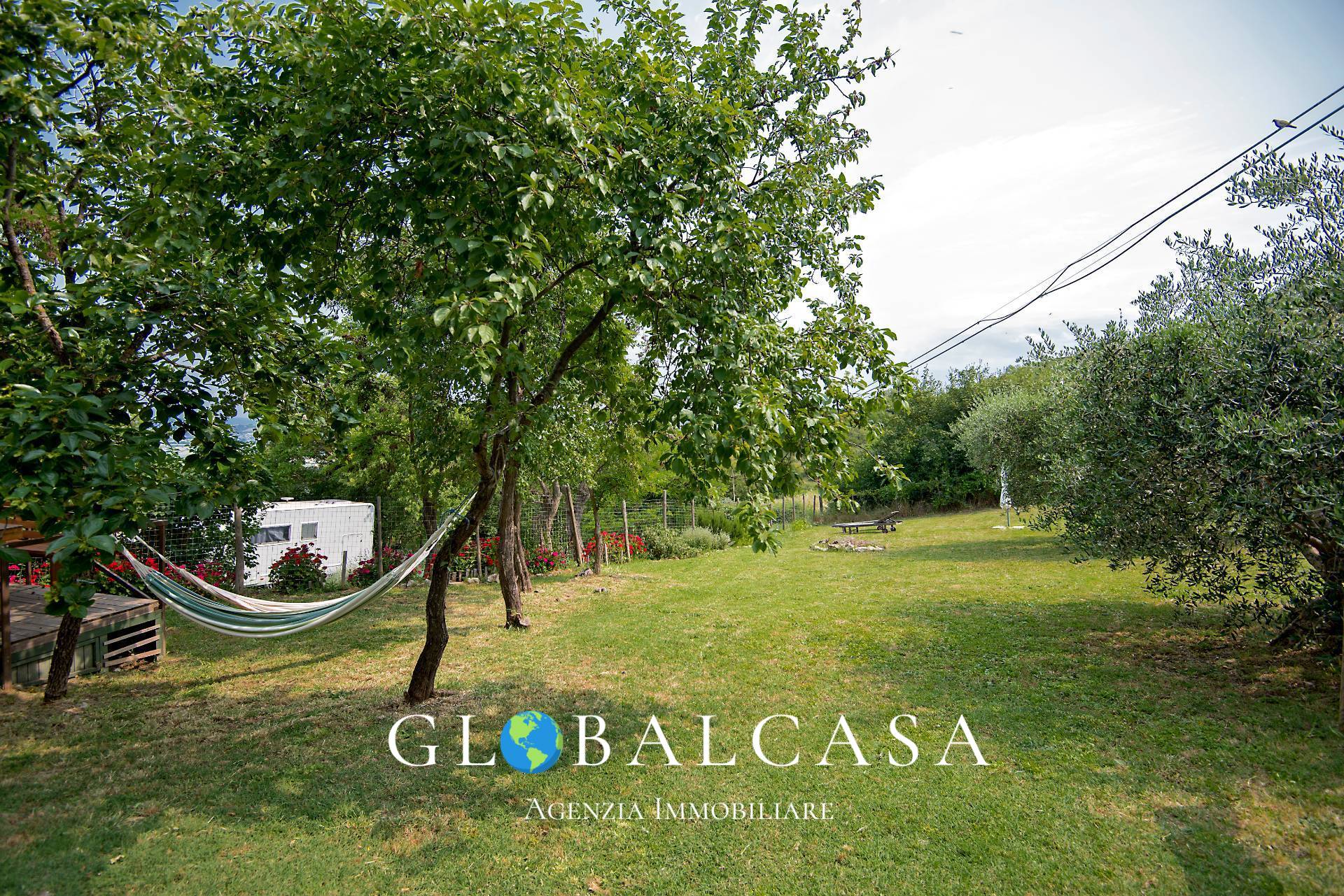 Immagine 7 di Rustico / casale in vendita  in case sparse 17 a Scansano