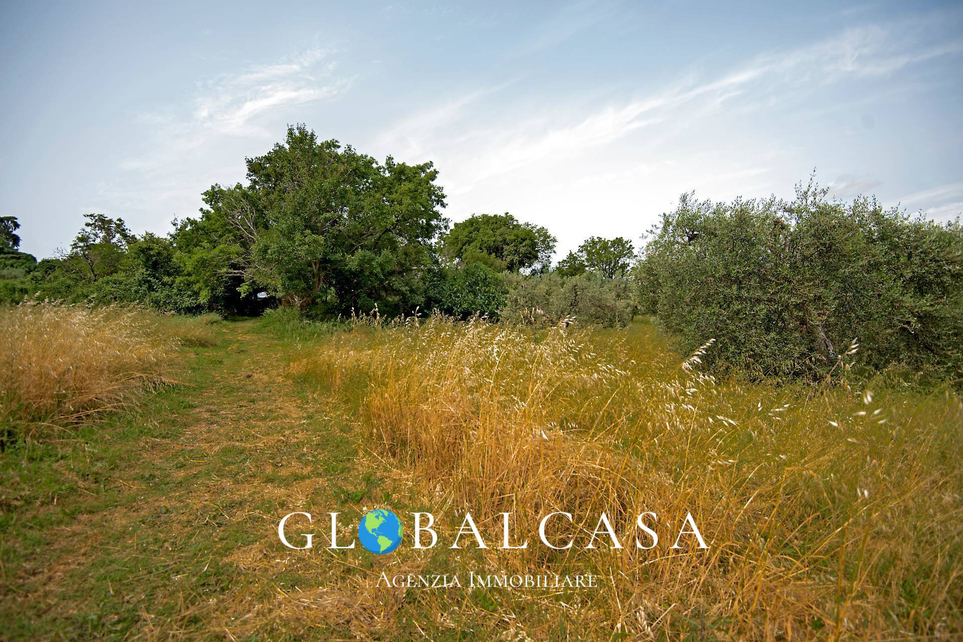 Immagine 12 di Rustico / casale in vendita  in case sparse 17 a Scansano