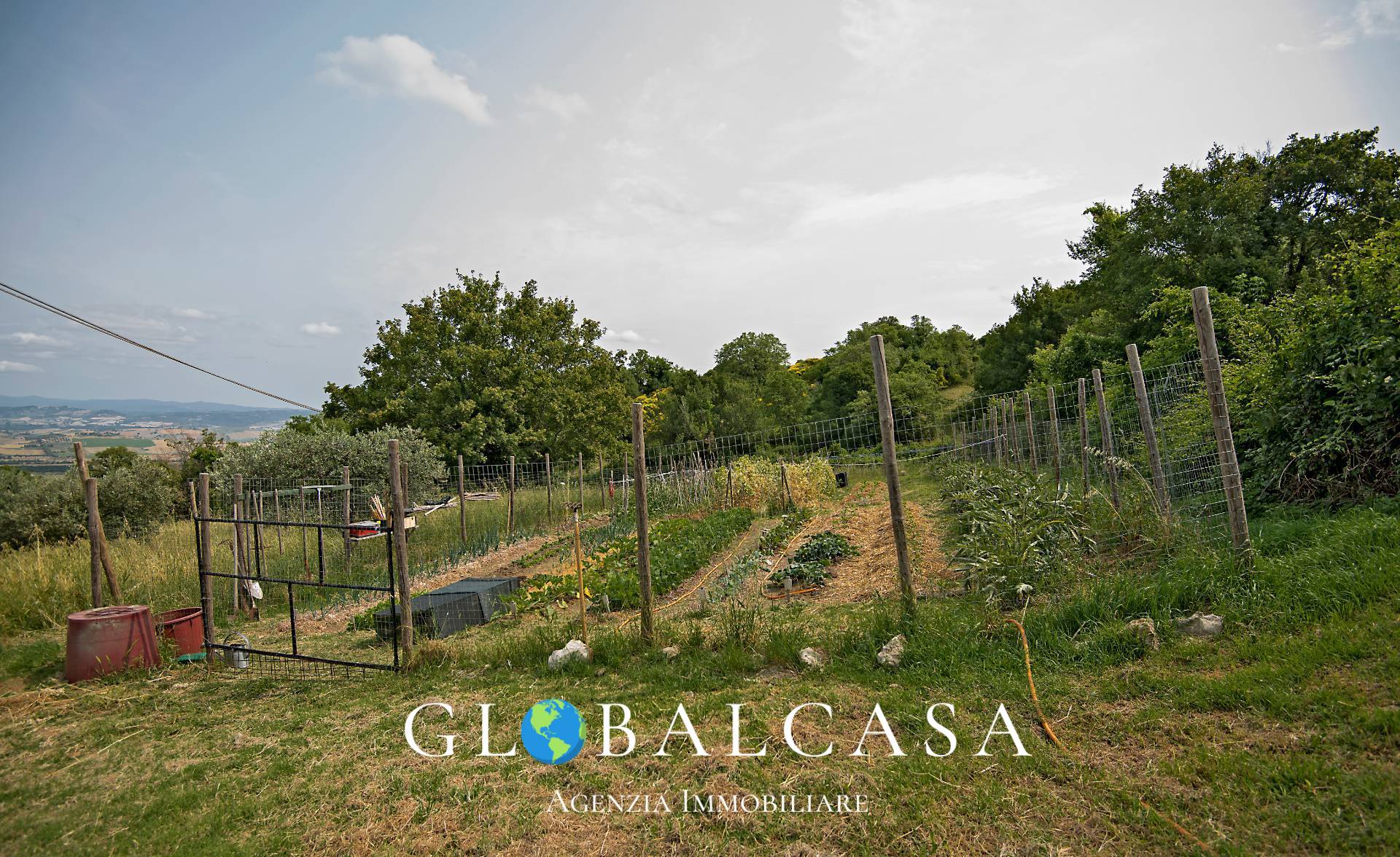 Immagine 13 di Rustico / casale in vendita  in case sparse 17 a Scansano