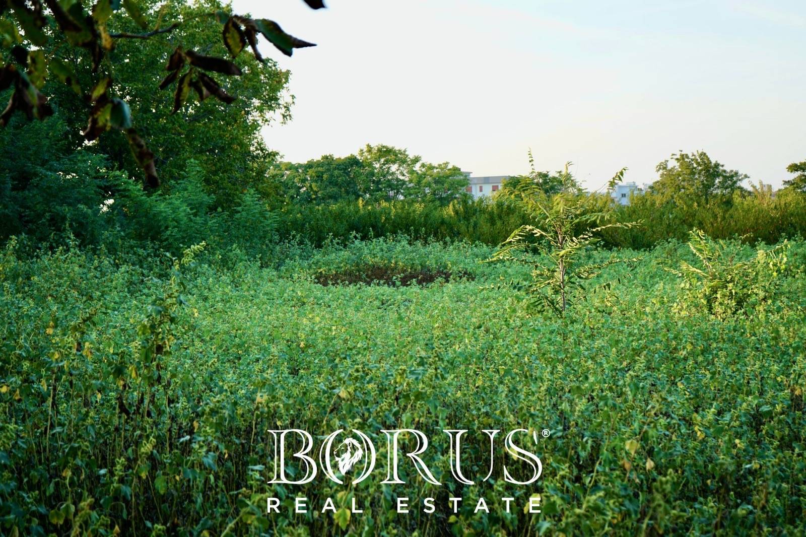 Immagine 4 di Terreno residenziale in vendita  in via nobel a Aversa