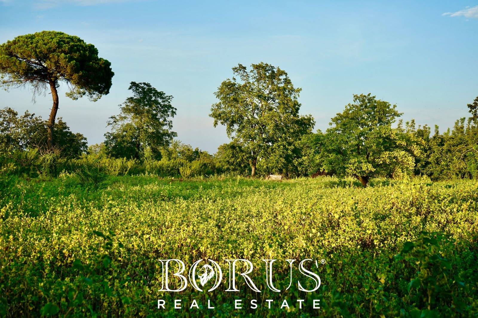 Immagine 5 di Terreno residenziale in vendita  in via nobel a Aversa