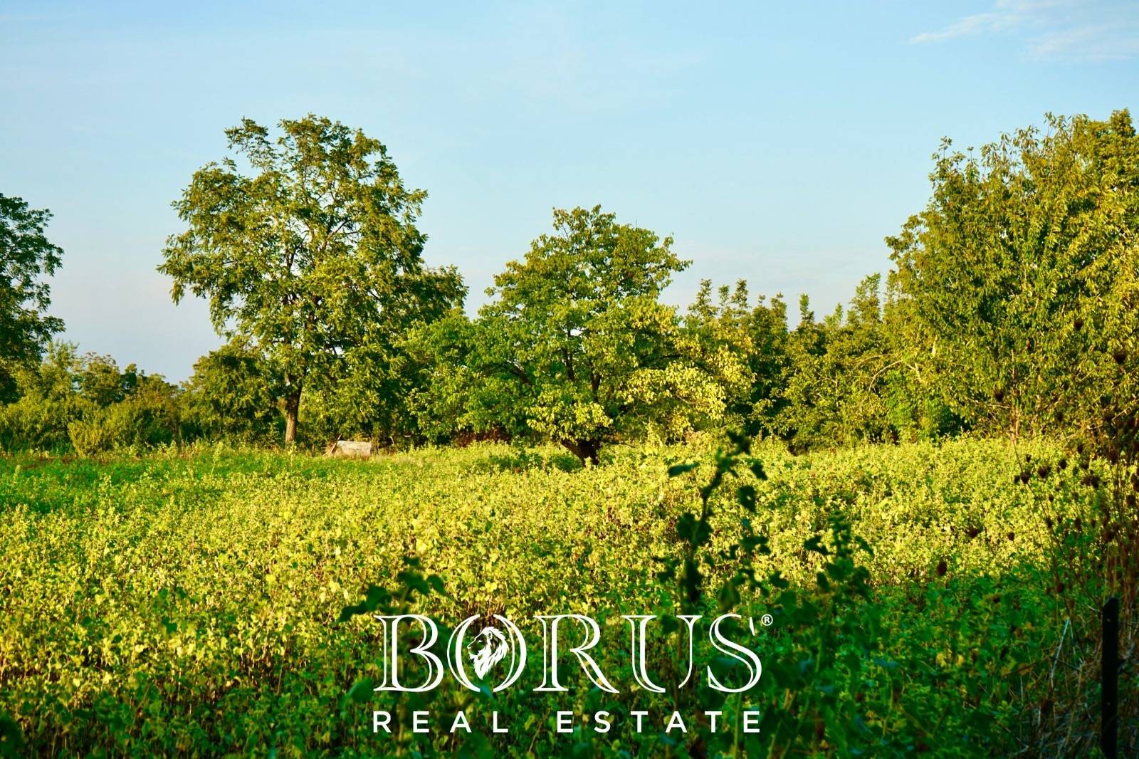 Immagine 3 di Terreno residenziale in vendita  in via nobel a Aversa