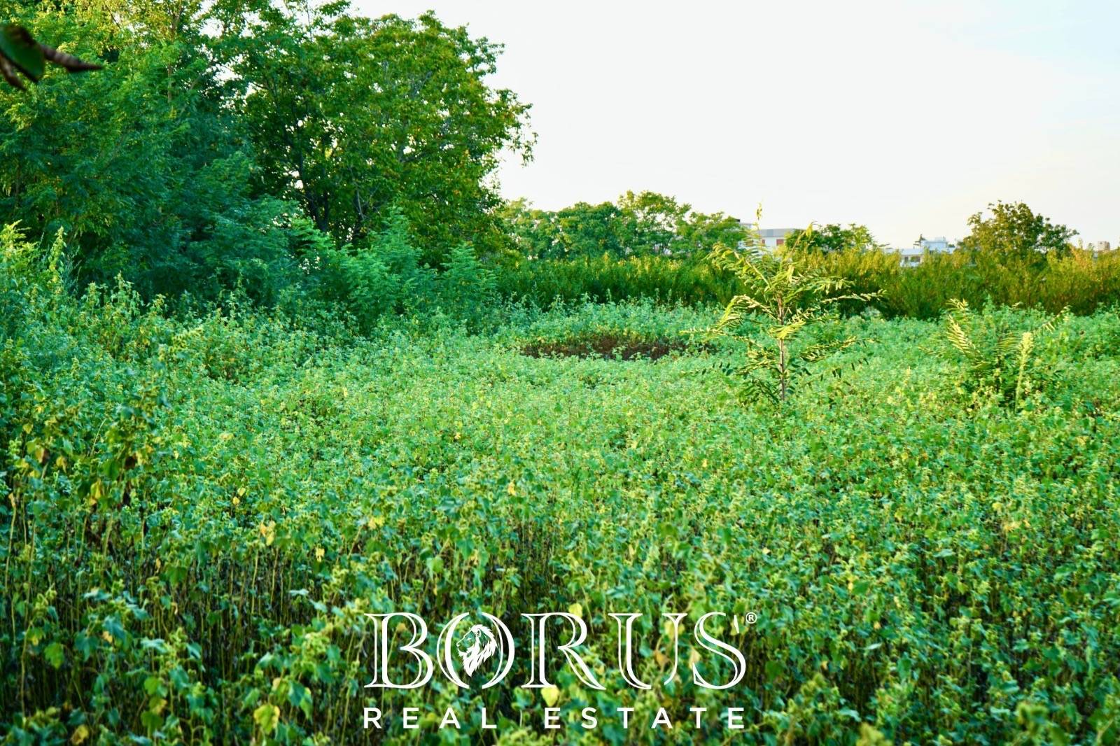 Immagine 6 di Terreno residenziale in vendita  in via nobel a Aversa