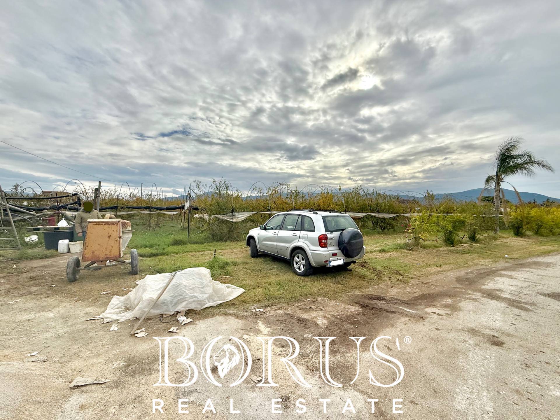 Immagine 5 di Azienda agricola in vendita  in Santa Maria la Piana a Sessa Aurunca