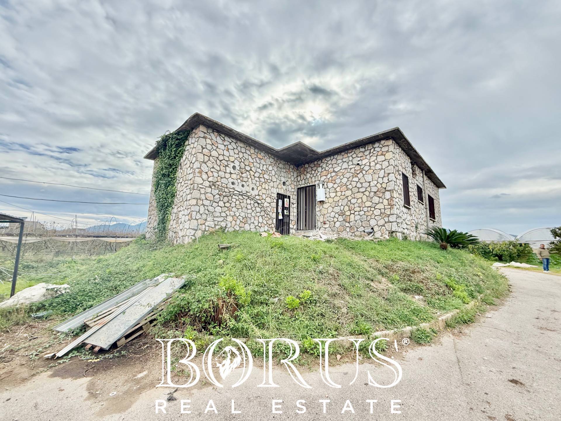 Immagine 9 di Azienda agricola in vendita  in Santa Maria la Piana a Sessa Aurunca