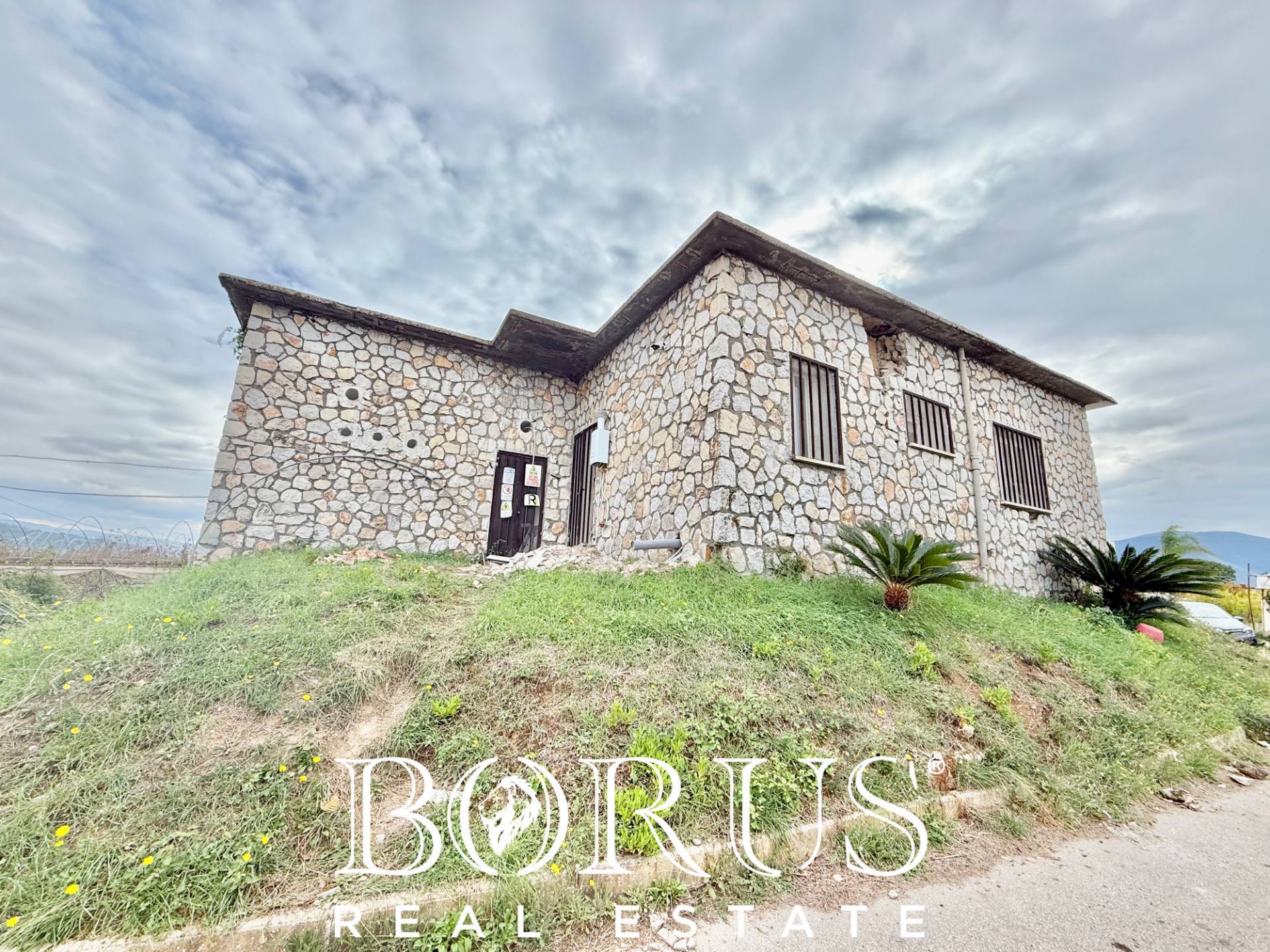 Immagine 14 di Azienda agricola in vendita  in Santa Maria la Piana a Sessa Aurunca