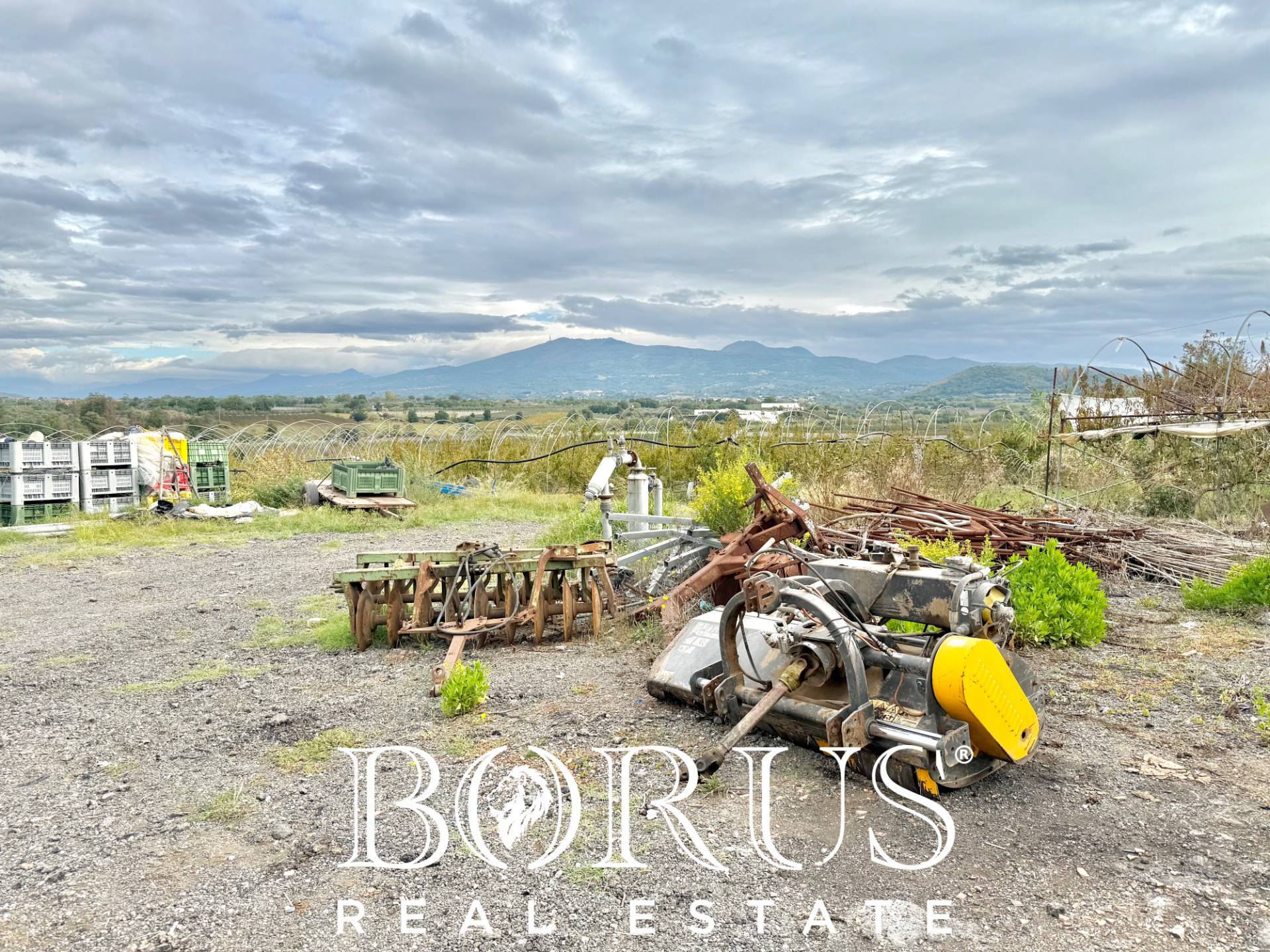 Immagine 15 di Azienda agricola in vendita  in Santa Maria la Piana a Sessa Aurunca