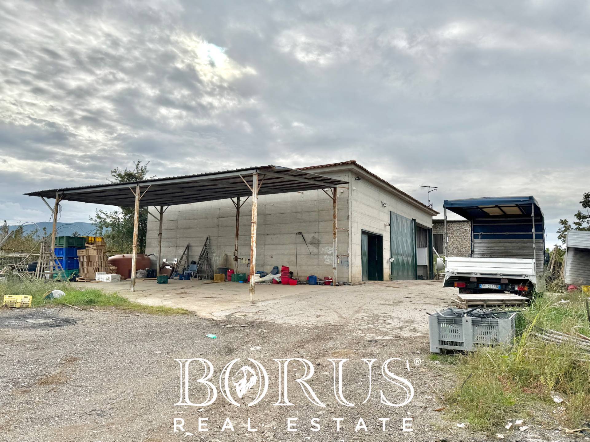 Immagine 17 di Azienda agricola in vendita  in Santa Maria la Piana a Sessa Aurunca