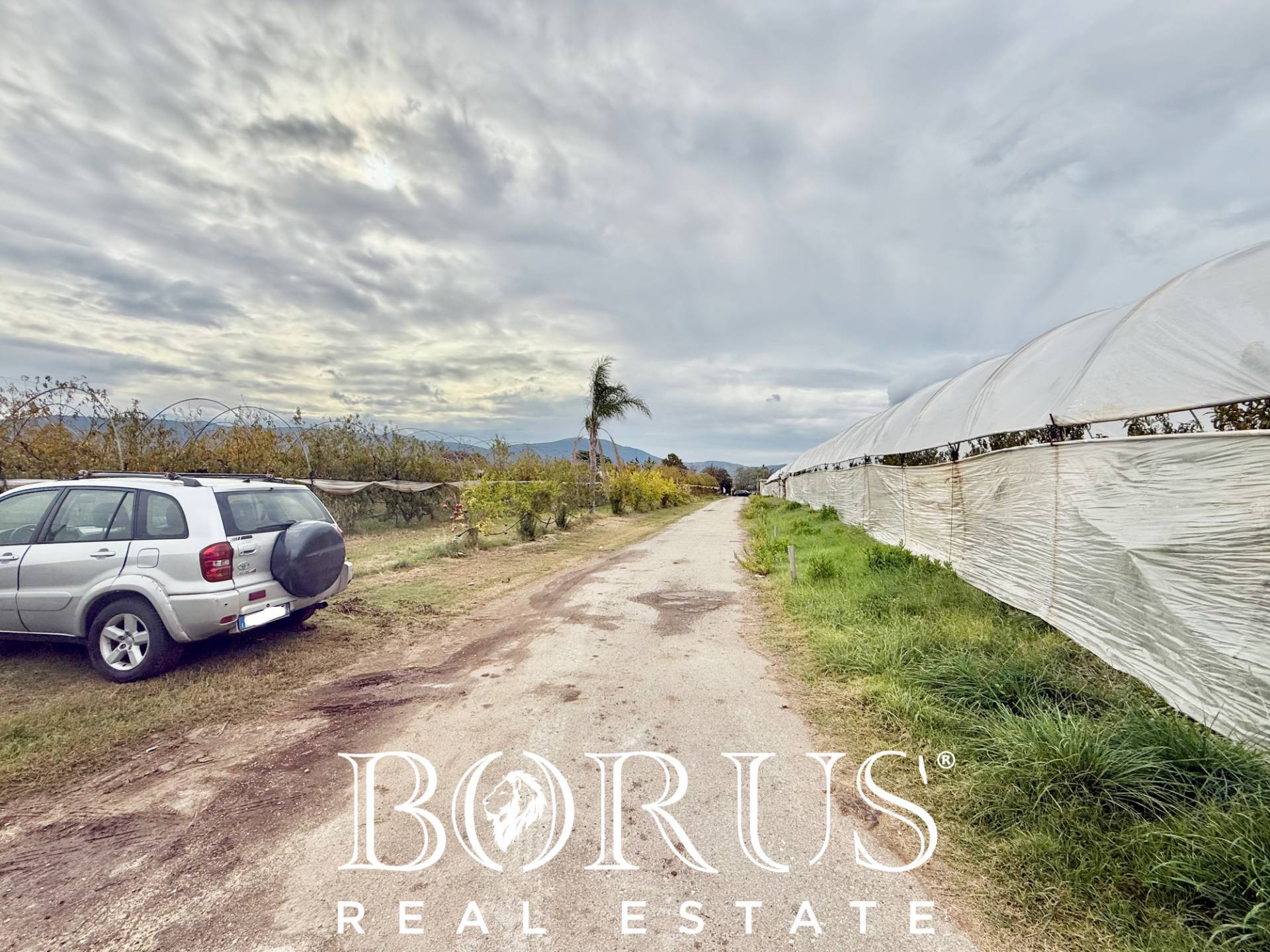 Immagine 31 di Azienda agricola in vendita  in Santa Maria la Piana a Sessa Aurunca