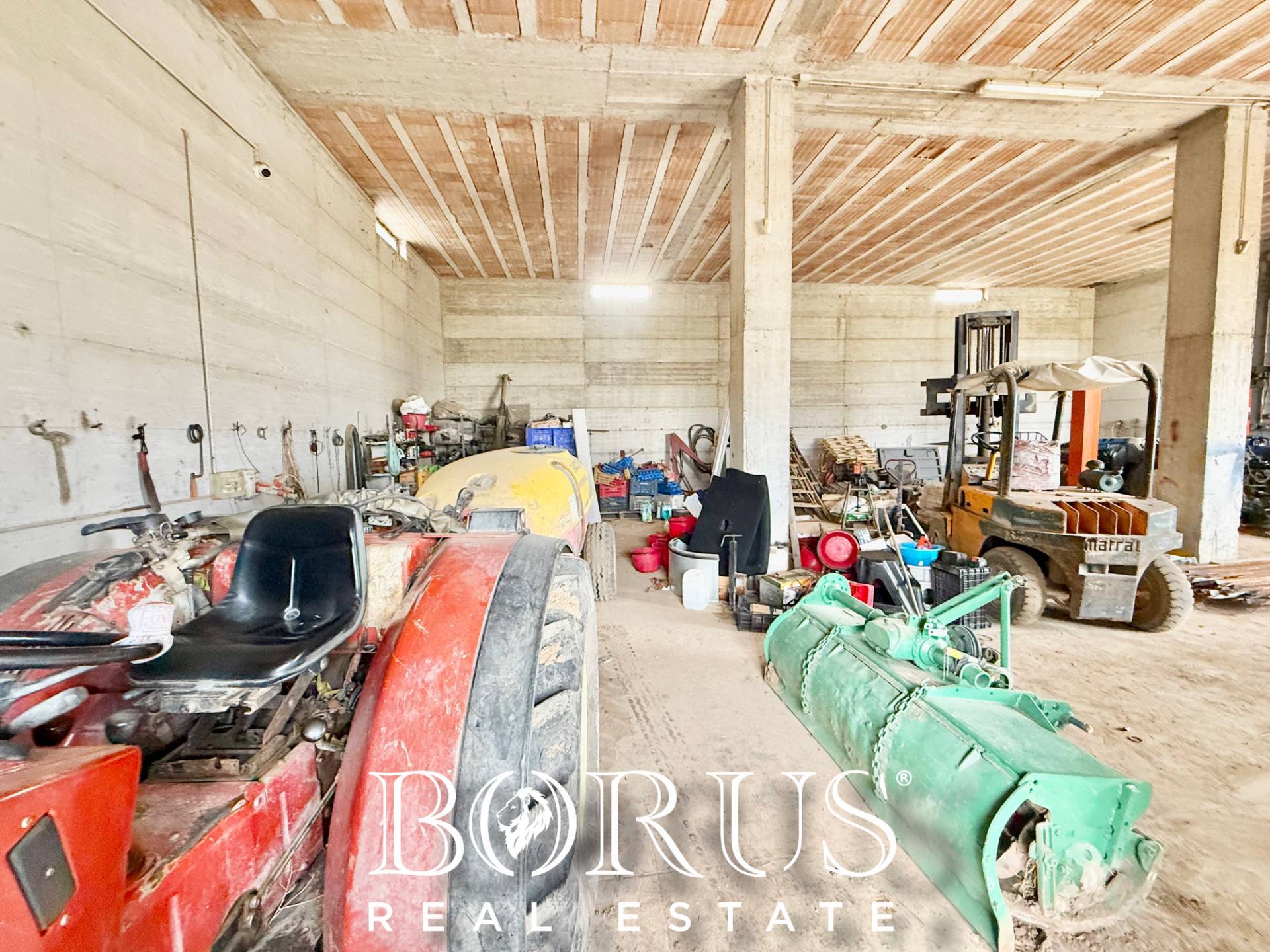 Immagine 32 di Azienda agricola in vendita  in Santa Maria la Piana a Sessa Aurunca