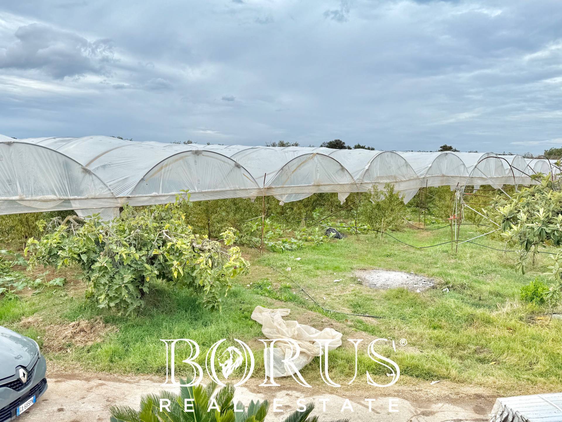 Immagine 36 di Azienda agricola in vendita  in Santa Maria la Piana a Sessa Aurunca