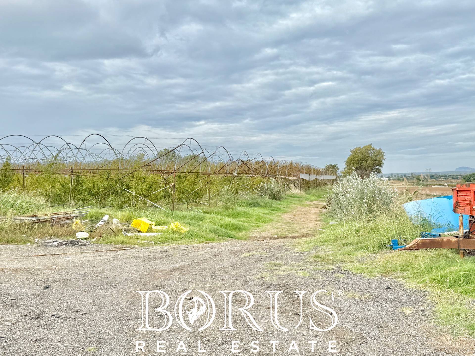 Immagine 37 di Azienda agricola in vendita  in Santa Maria la Piana a Sessa Aurunca
