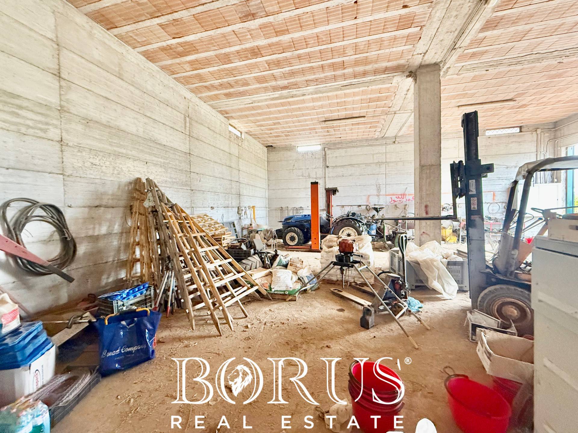 Immagine 39 di Azienda agricola in vendita  in Santa Maria la Piana a Sessa Aurunca