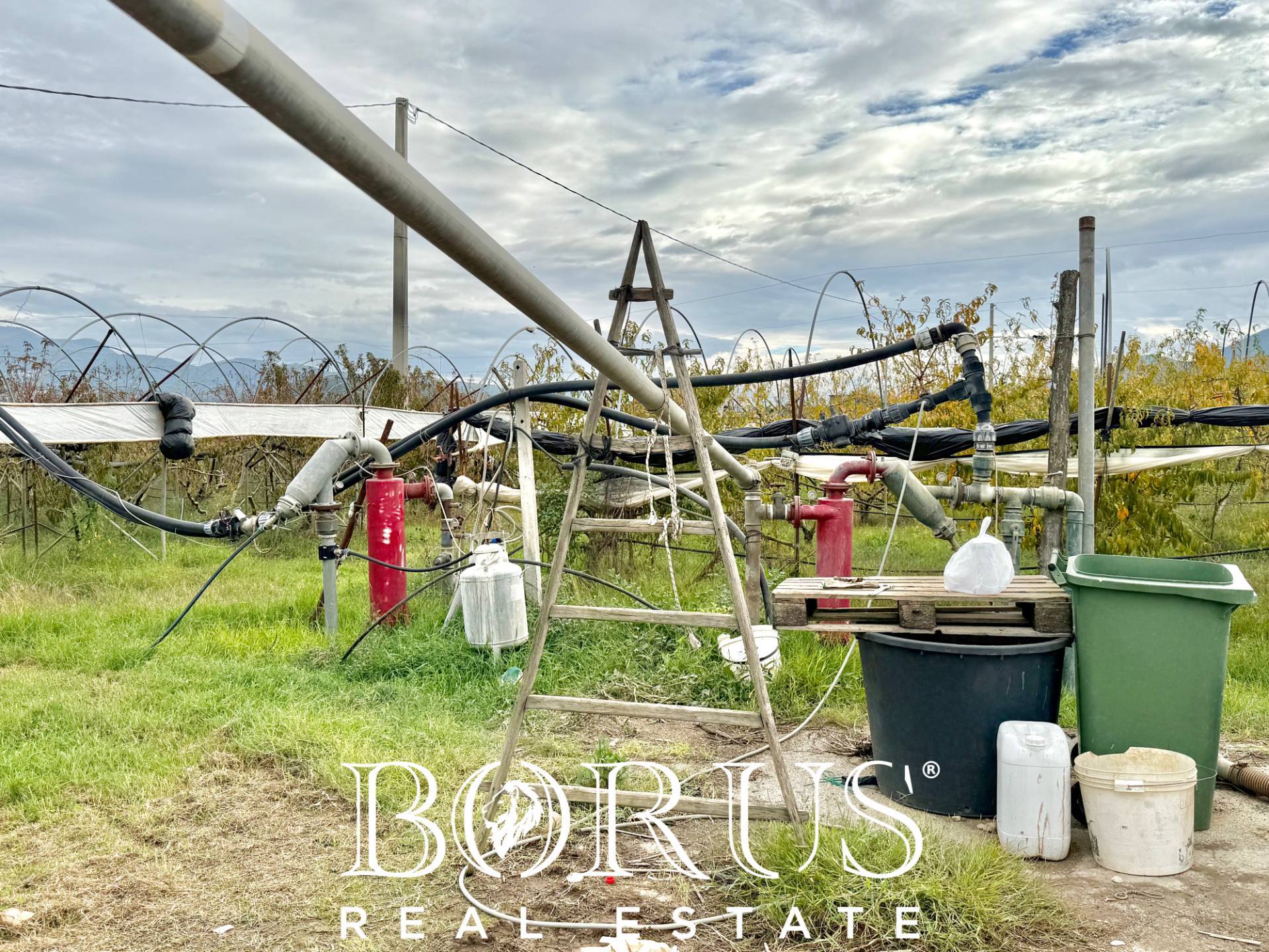 Immagine 41 di Azienda agricola in vendita  in Santa Maria la Piana a Sessa Aurunca