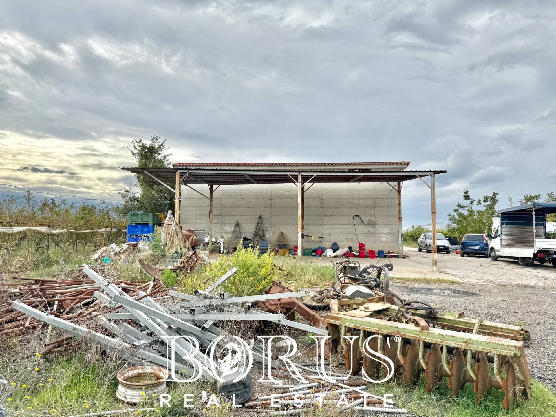 Immagine 43 di Azienda agricola in vendita  in Santa Maria la Piana a Sessa Aurunca