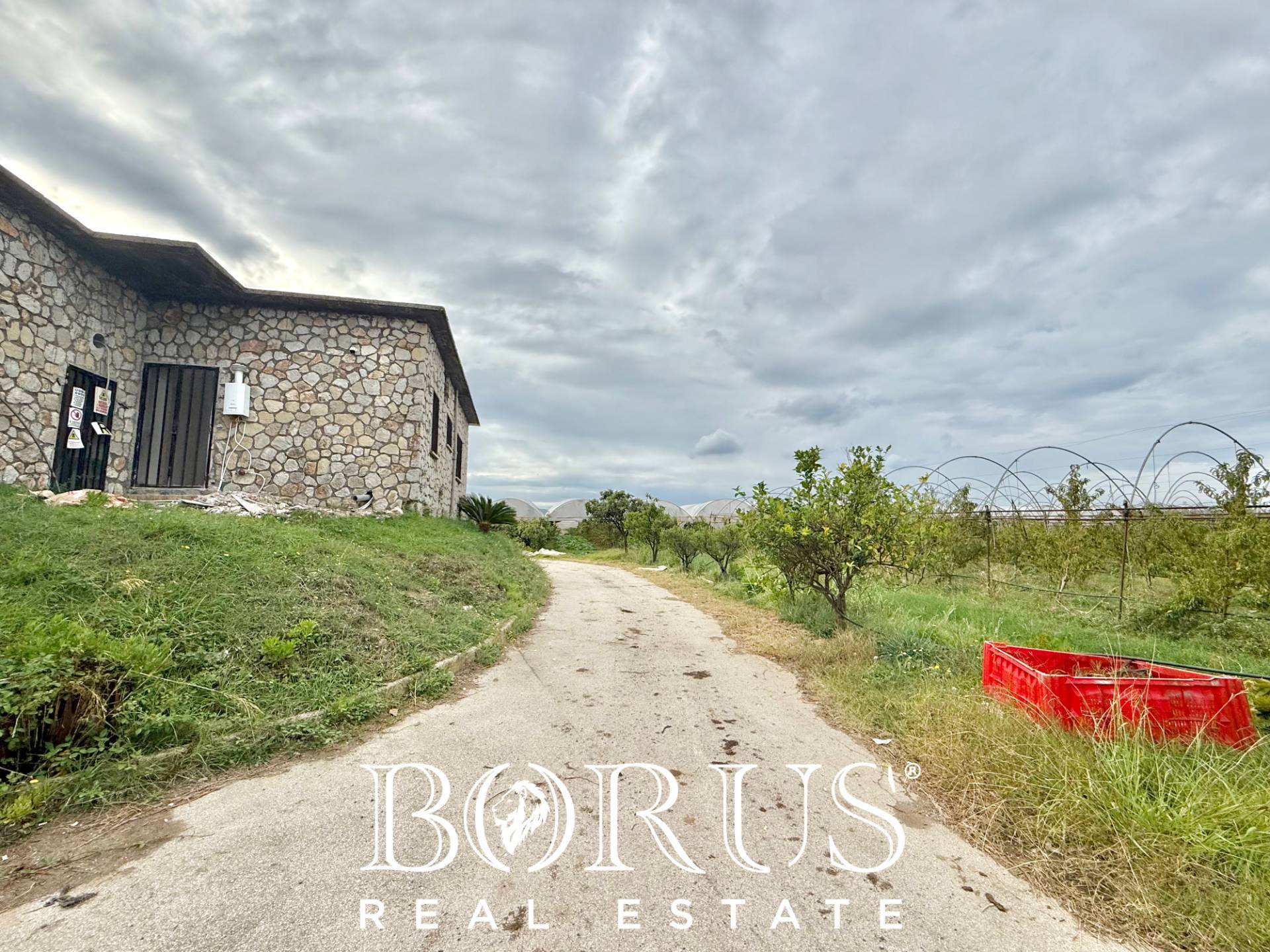 Immagine 48 di Azienda agricola in vendita  in Santa Maria la Piana a Sessa Aurunca