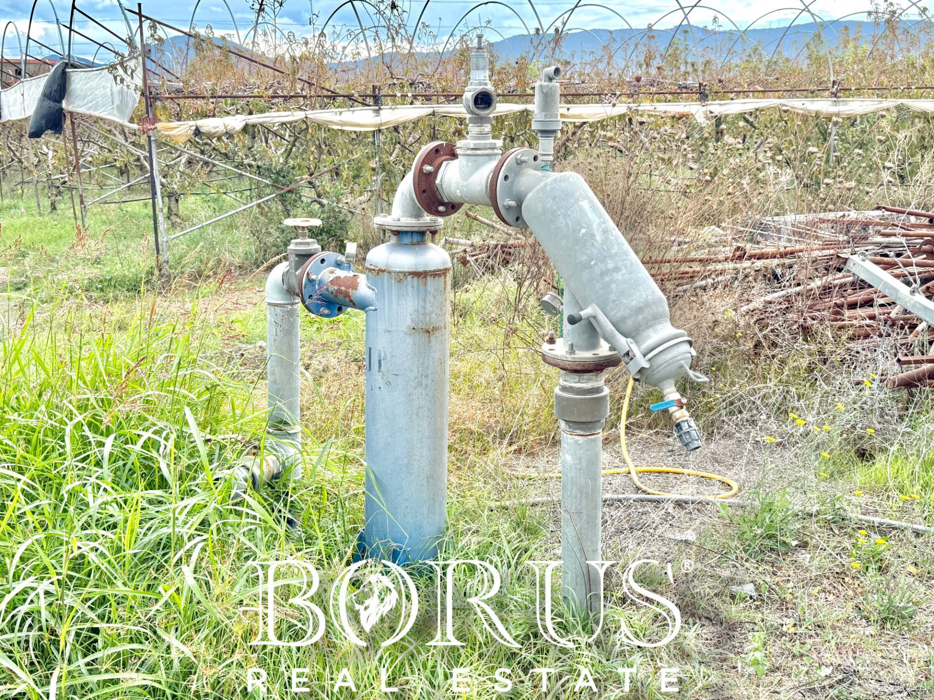 Immagine 49 di Azienda agricola in vendita  in Santa Maria la Piana a Sessa Aurunca