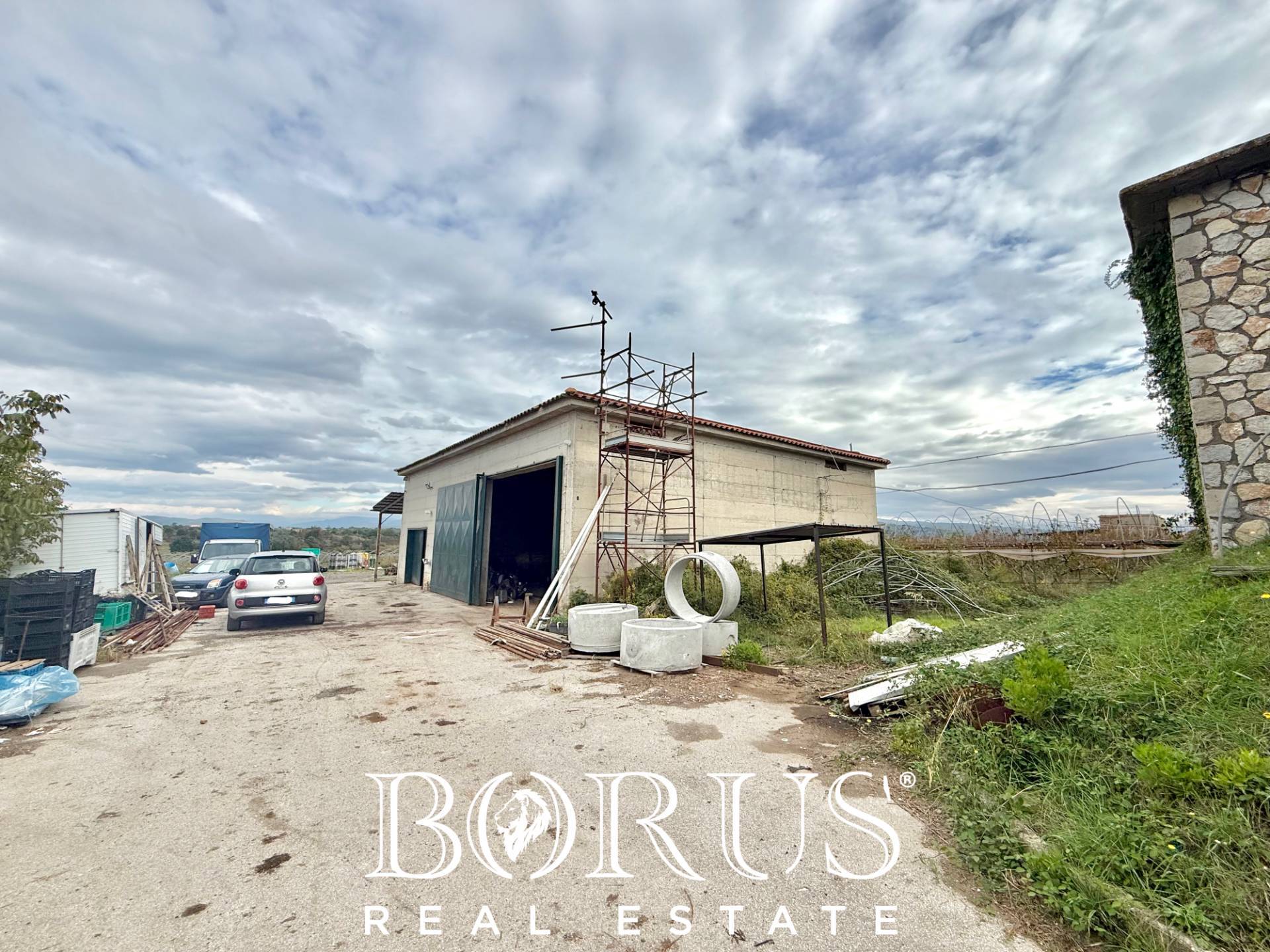 Immagine 50 di Azienda agricola in vendita  in Santa Maria la Piana a Sessa Aurunca