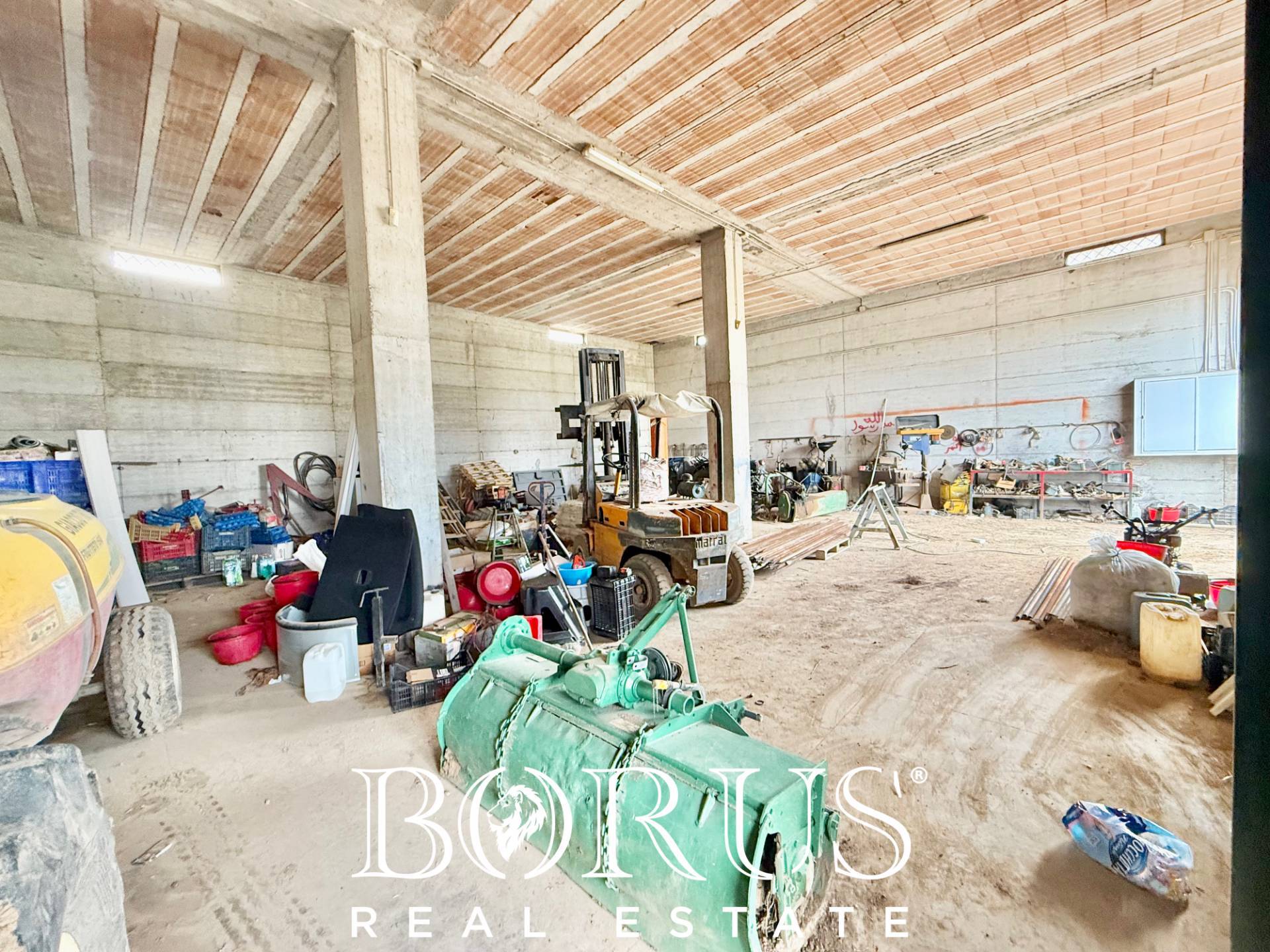 Immagine 53 di Azienda agricola in vendita  in Santa Maria la Piana a Sessa Aurunca