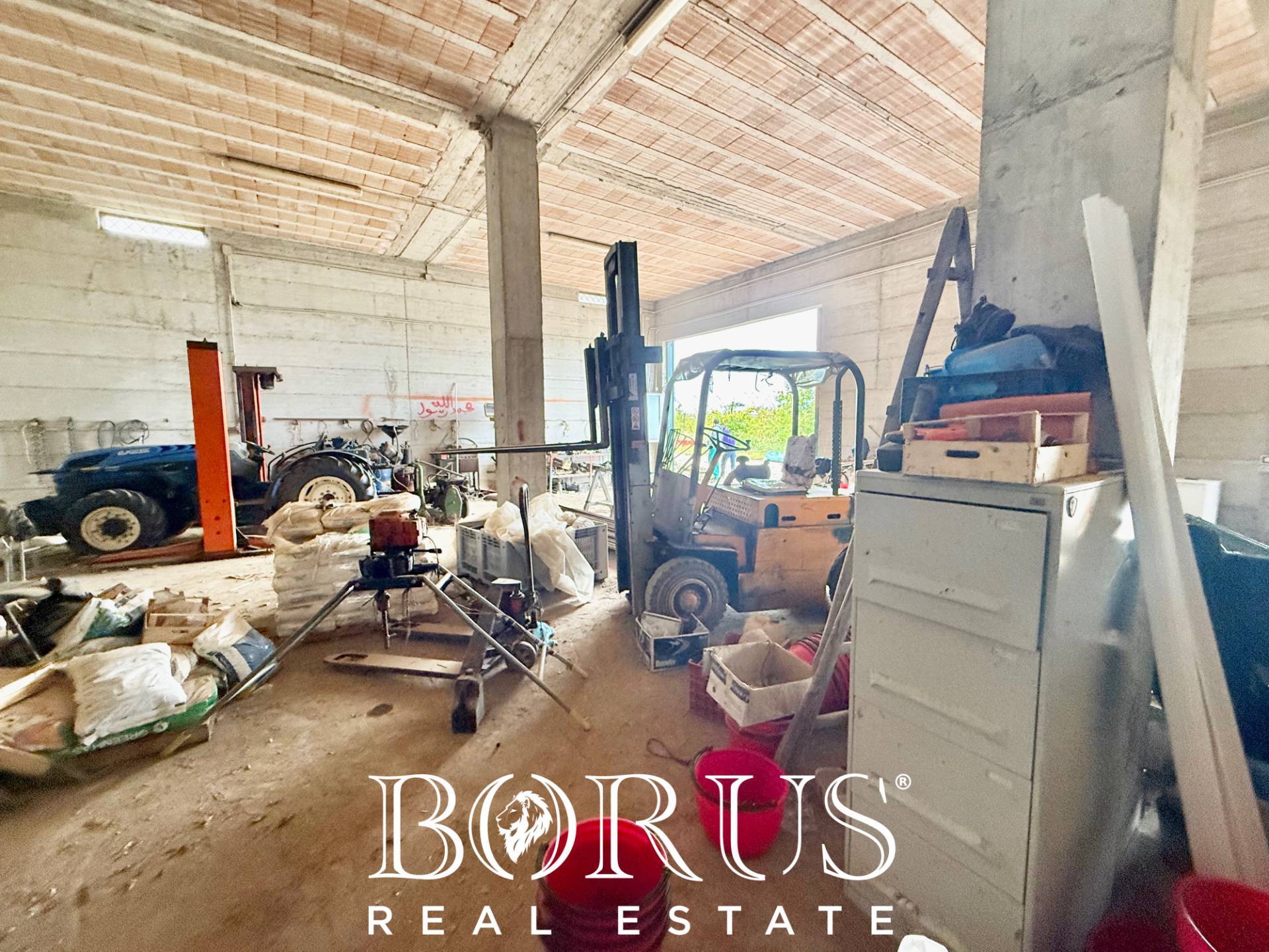 Immagine 58 di Azienda agricola in vendita  in Santa Maria la Piana a Sessa Aurunca