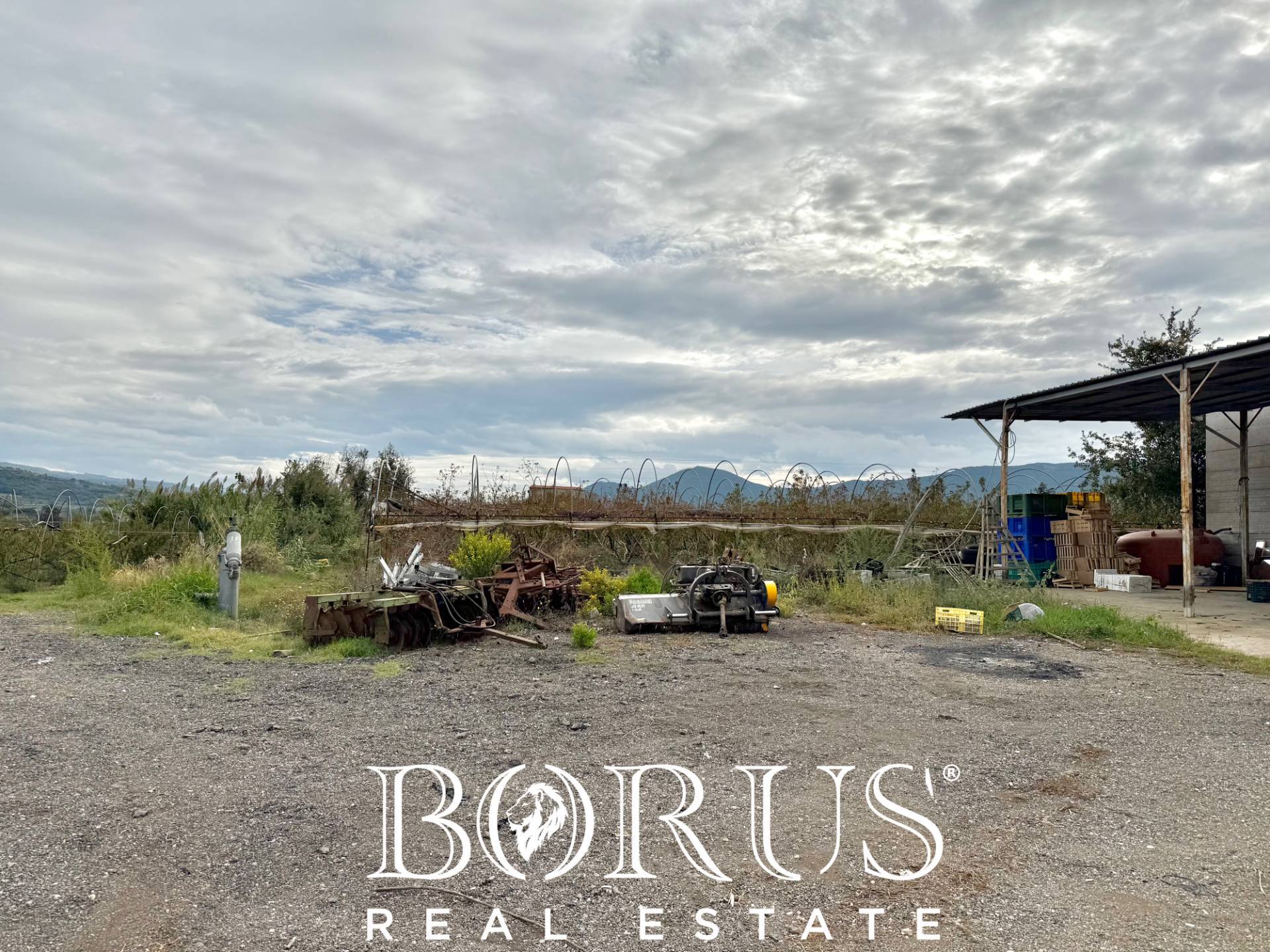 Immagine 60 di Azienda agricola in vendita  in Santa Maria la Piana a Sessa Aurunca