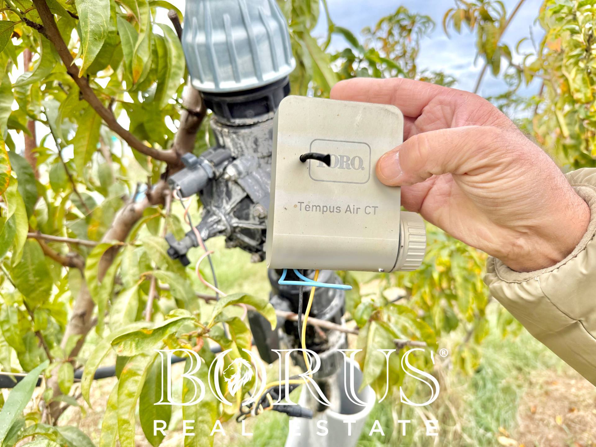 Immagine 62 di Azienda agricola in vendita  in Santa Maria la Piana a Sessa Aurunca