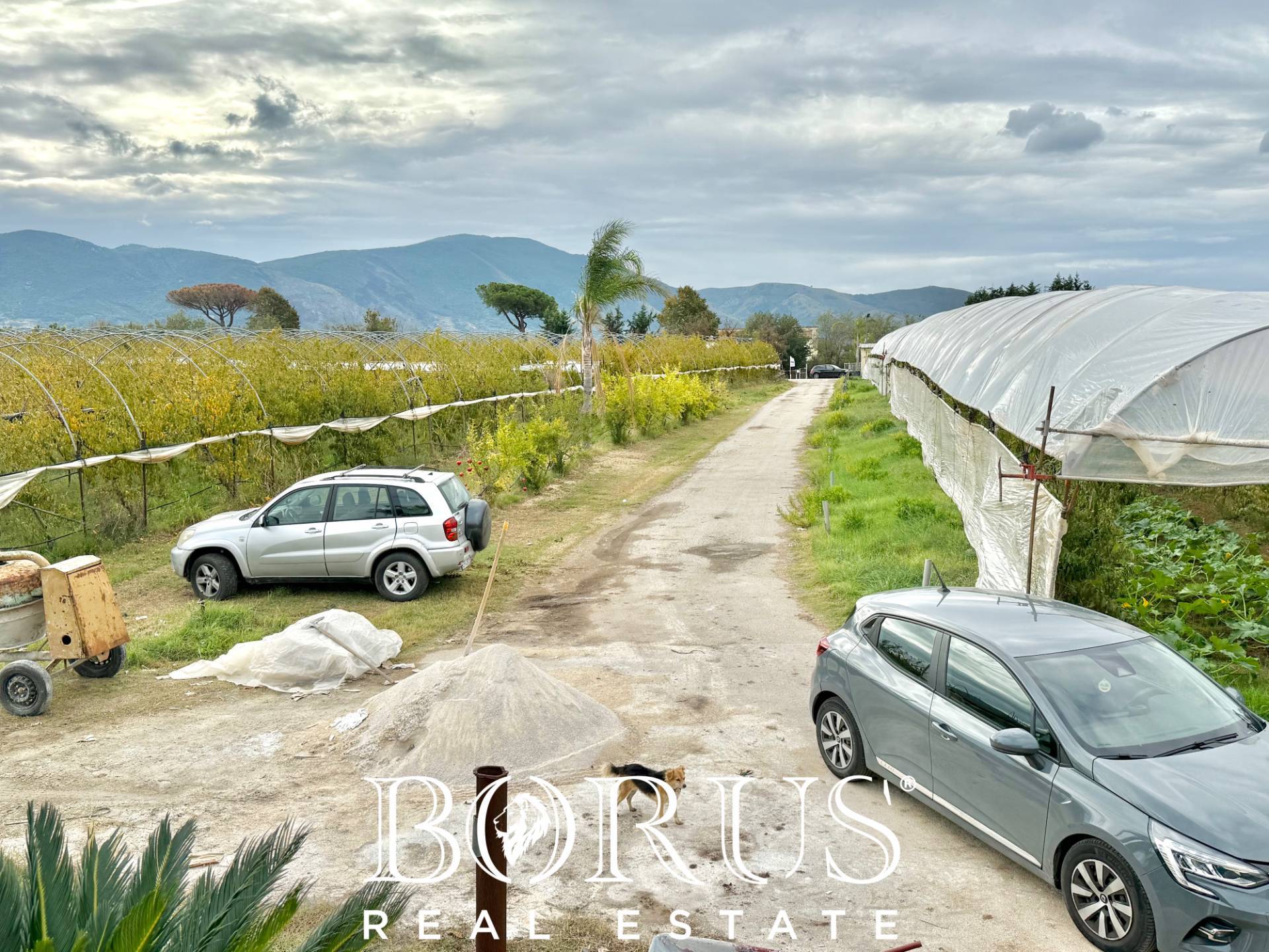 Immagine 70 di Azienda agricola in vendita  in Santa Maria la Piana a Sessa Aurunca