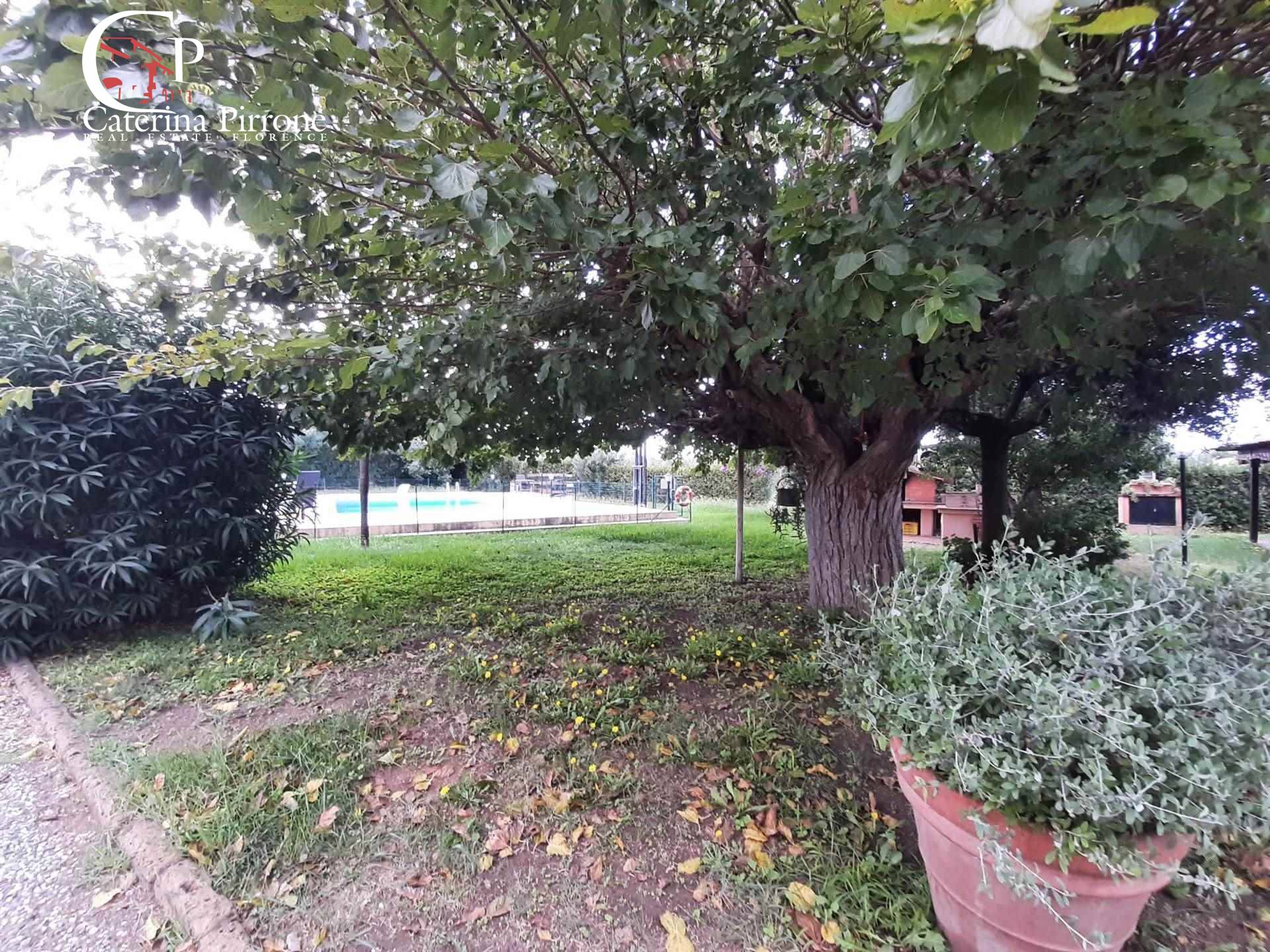 Immagine 9 di Casa semindipendente in vendita  in stradone del Belvedere a Rosignano Marittimo