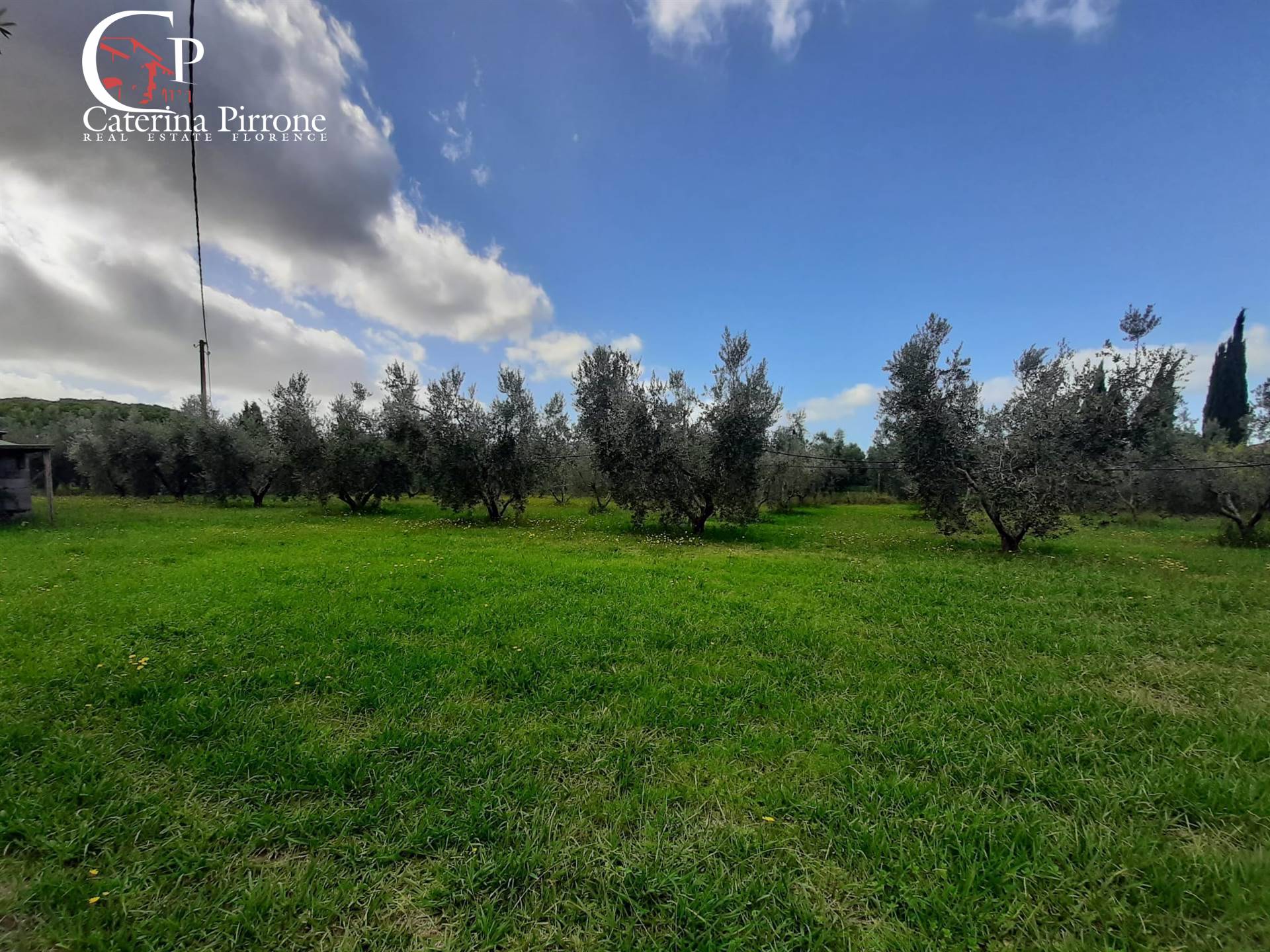 Immagine 10 di Casa semindipendente in vendita  in stradone del Belvedere a Rosignano Marittimo