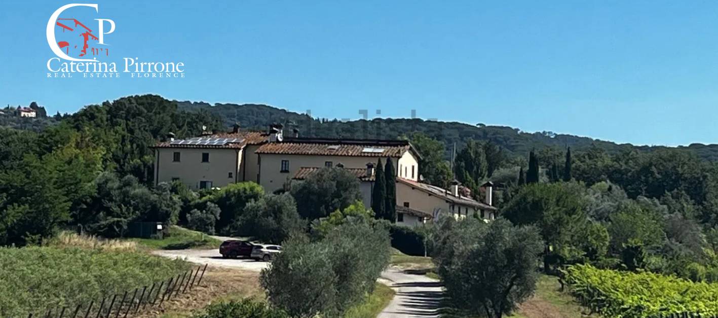 Foto annuncio 14