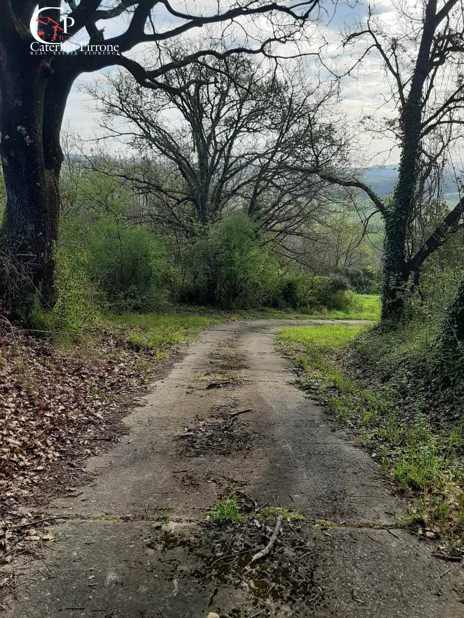 Foto annuncio 39
