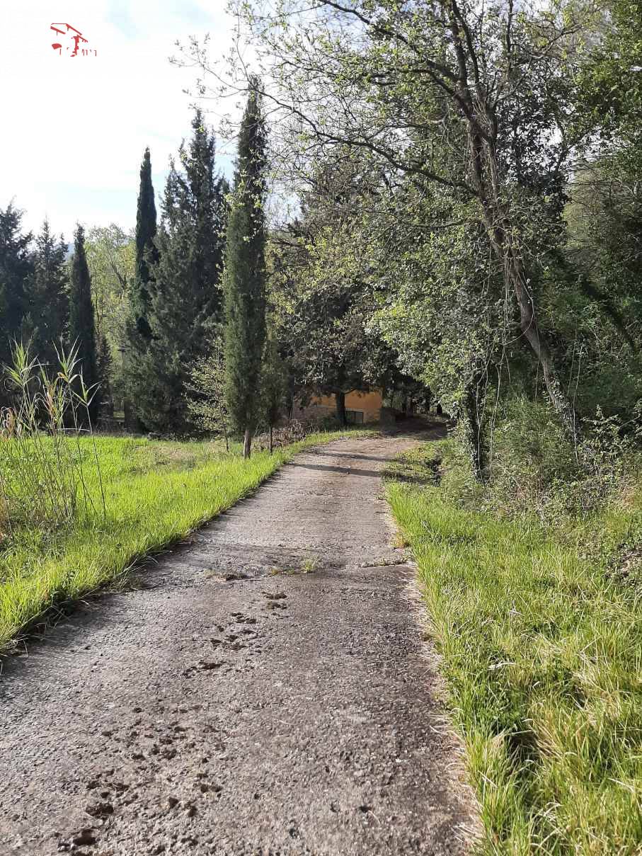 Foto annuncio 44