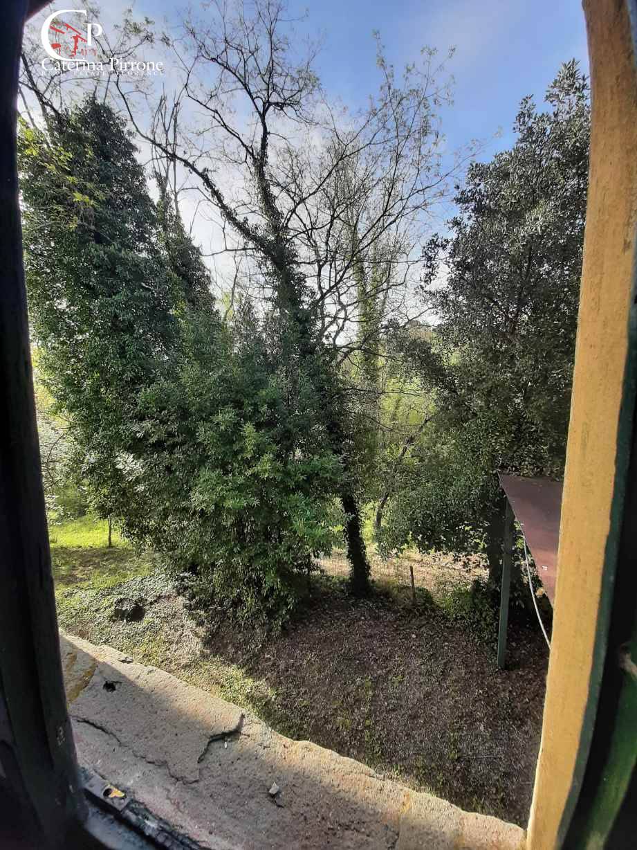 Foto annuncio 11