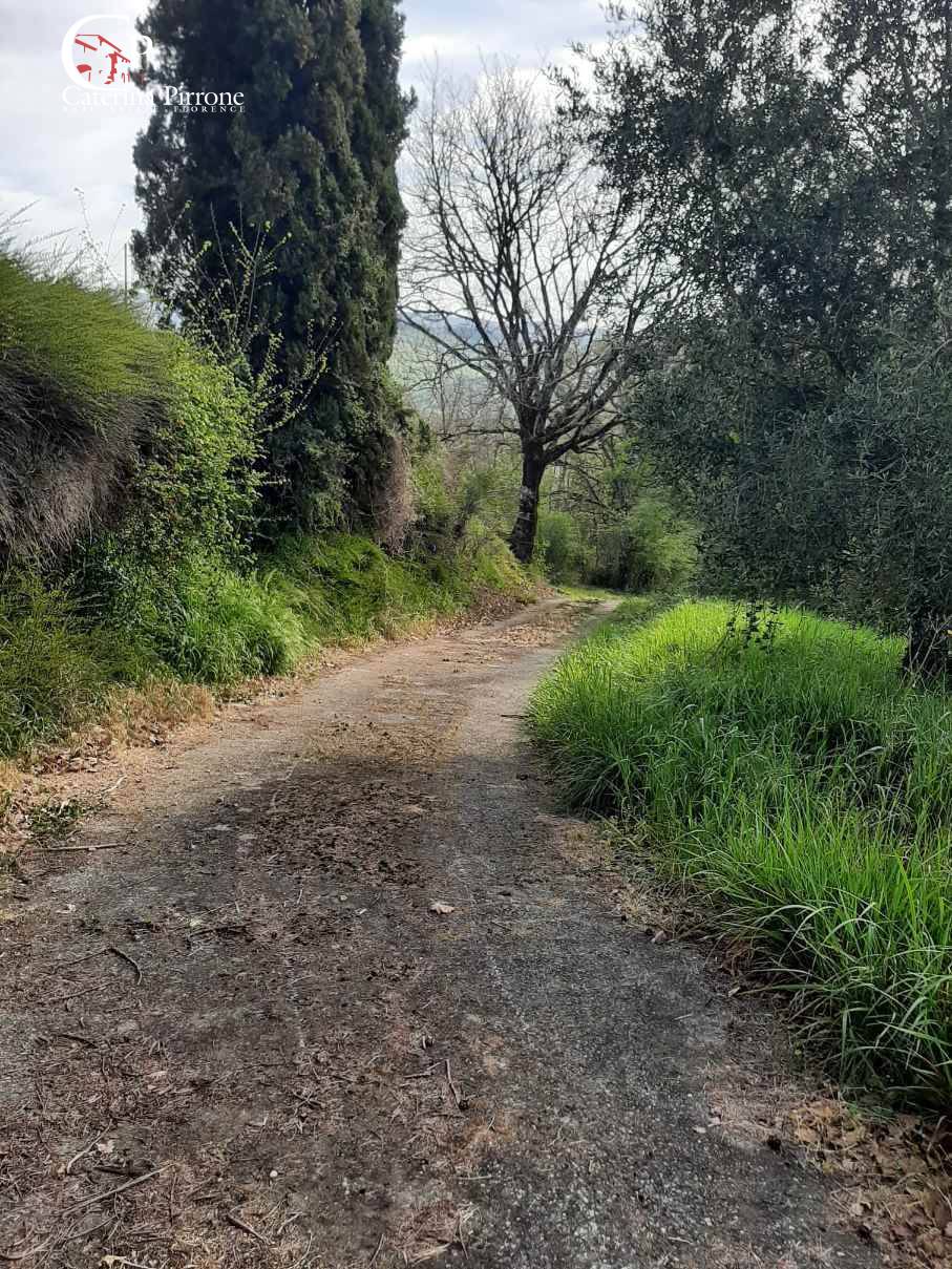 Foto annuncio 45