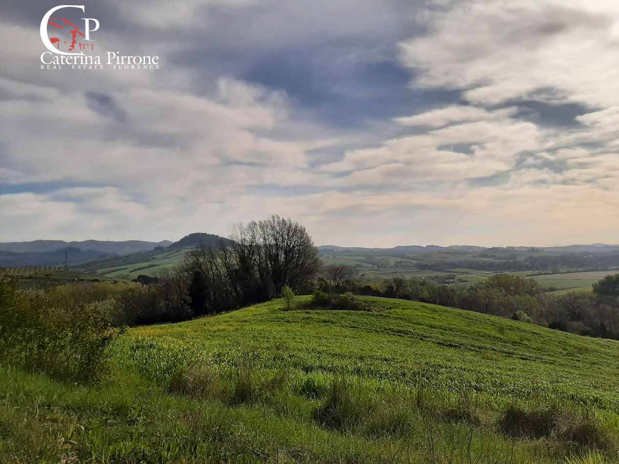 Foto annuncio 51