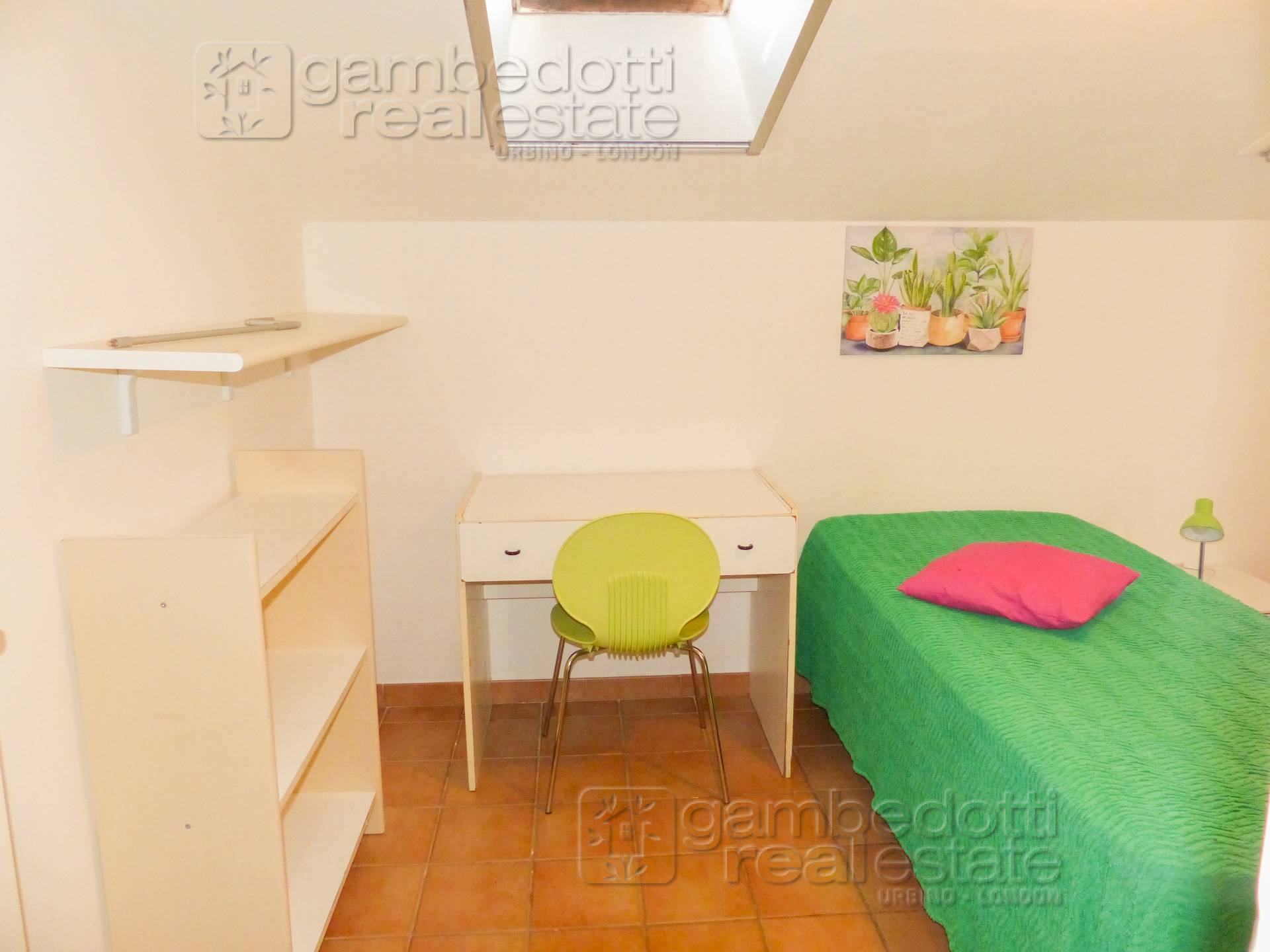 Foto annuncio 5