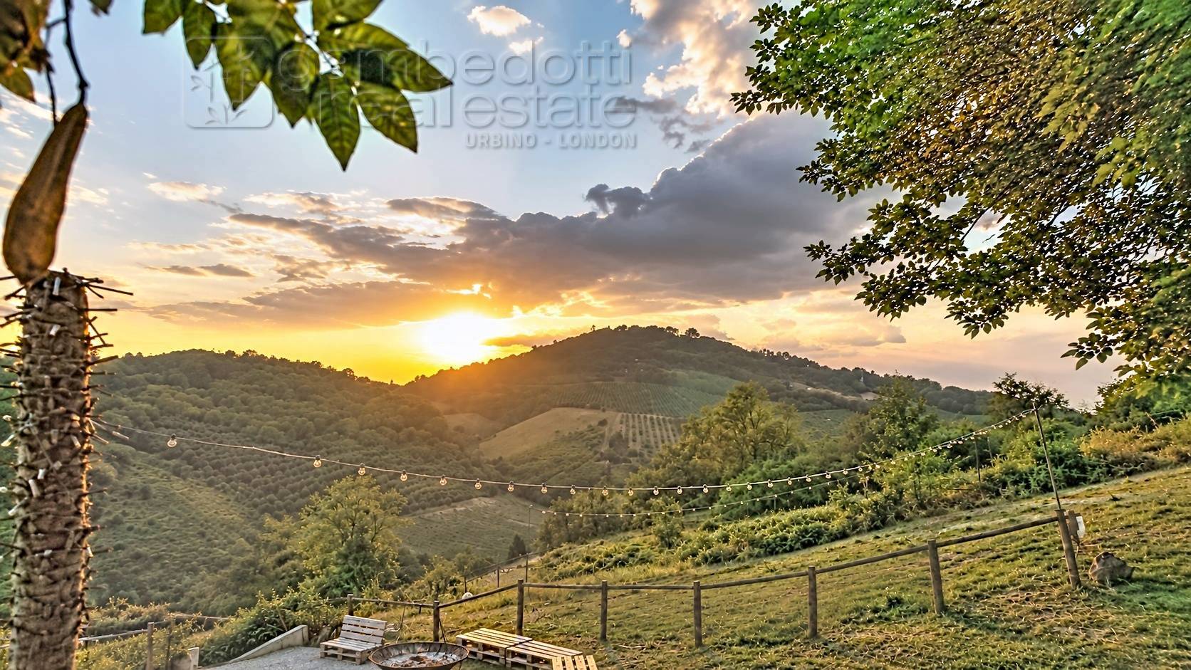Foto annuncio 30